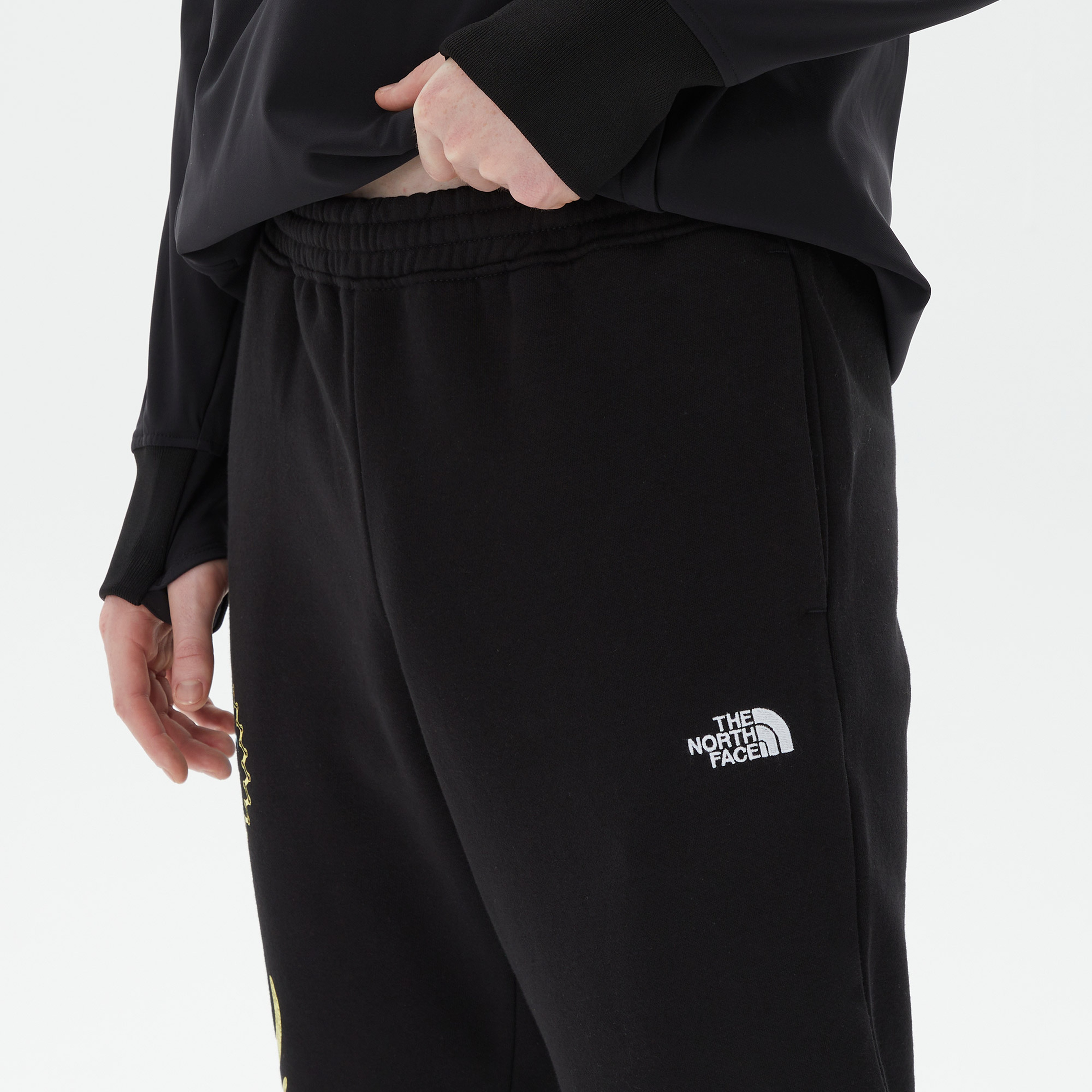 The North Face Half Dome Erkek Siyah Eşofman Altı