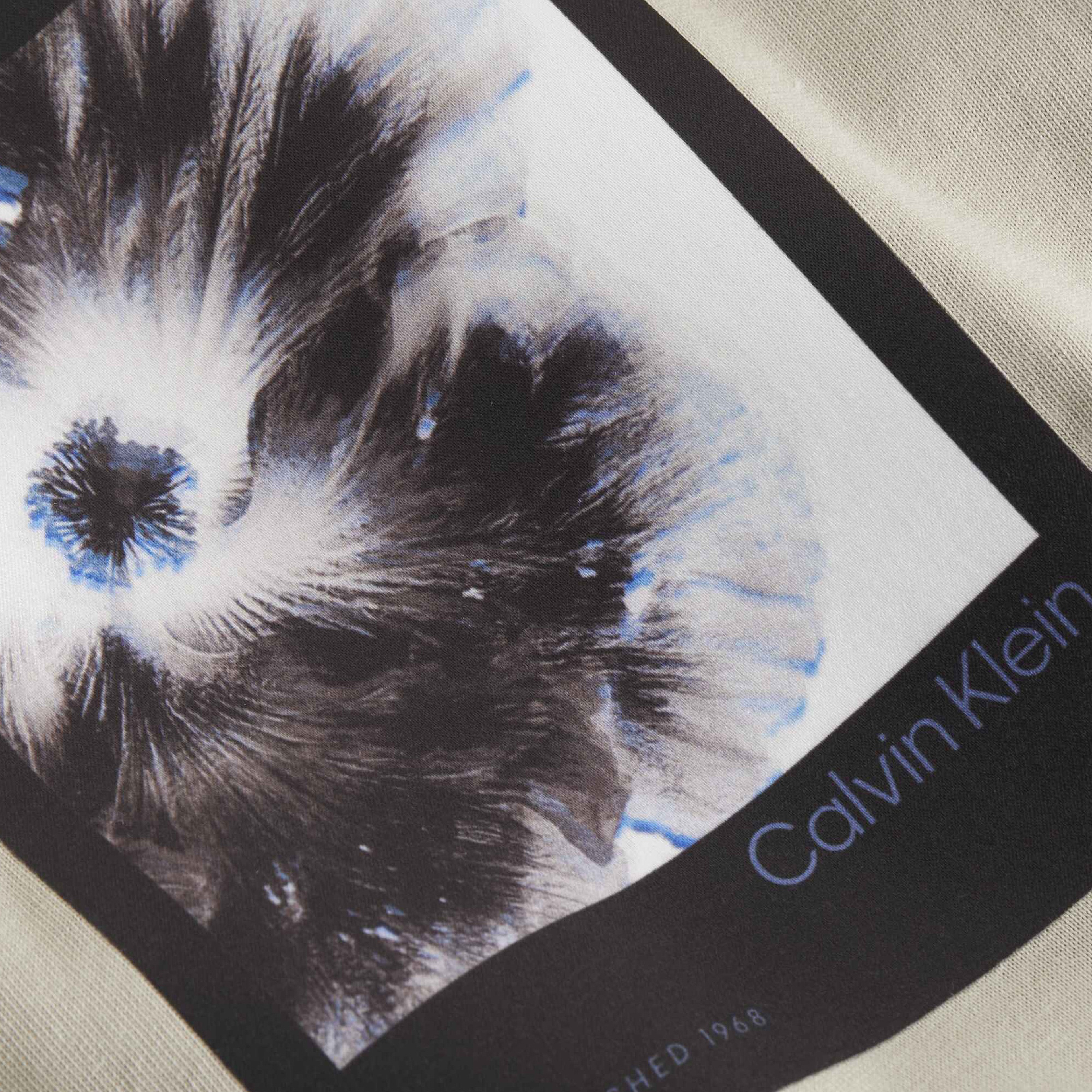 Calvin Klein Erkek Gri Tshirt