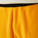 The North Face Denali Erkek Sarı Eşofman Altı