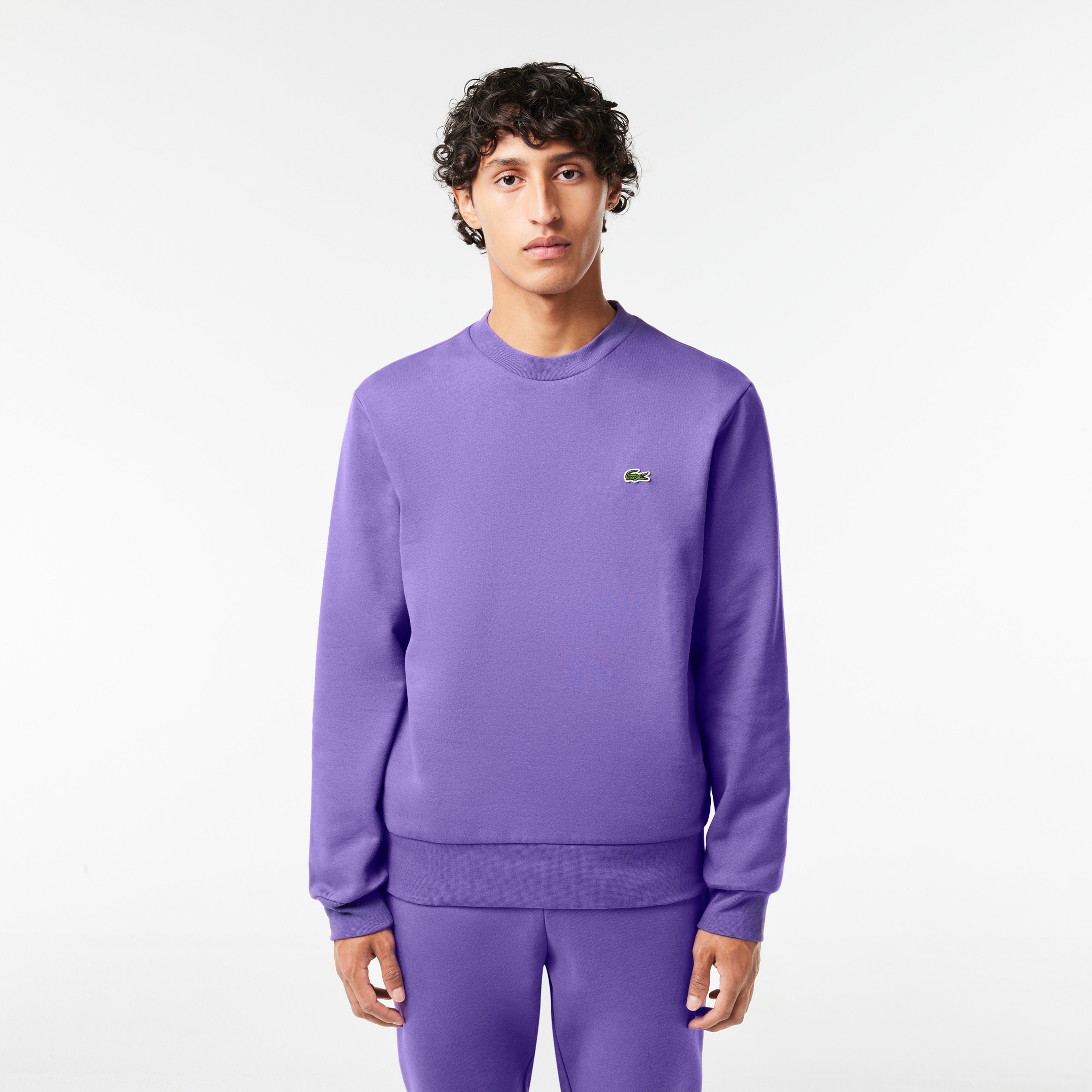 Erkek Classic Fit Bisiklet Yaka Mor Sweatshirt