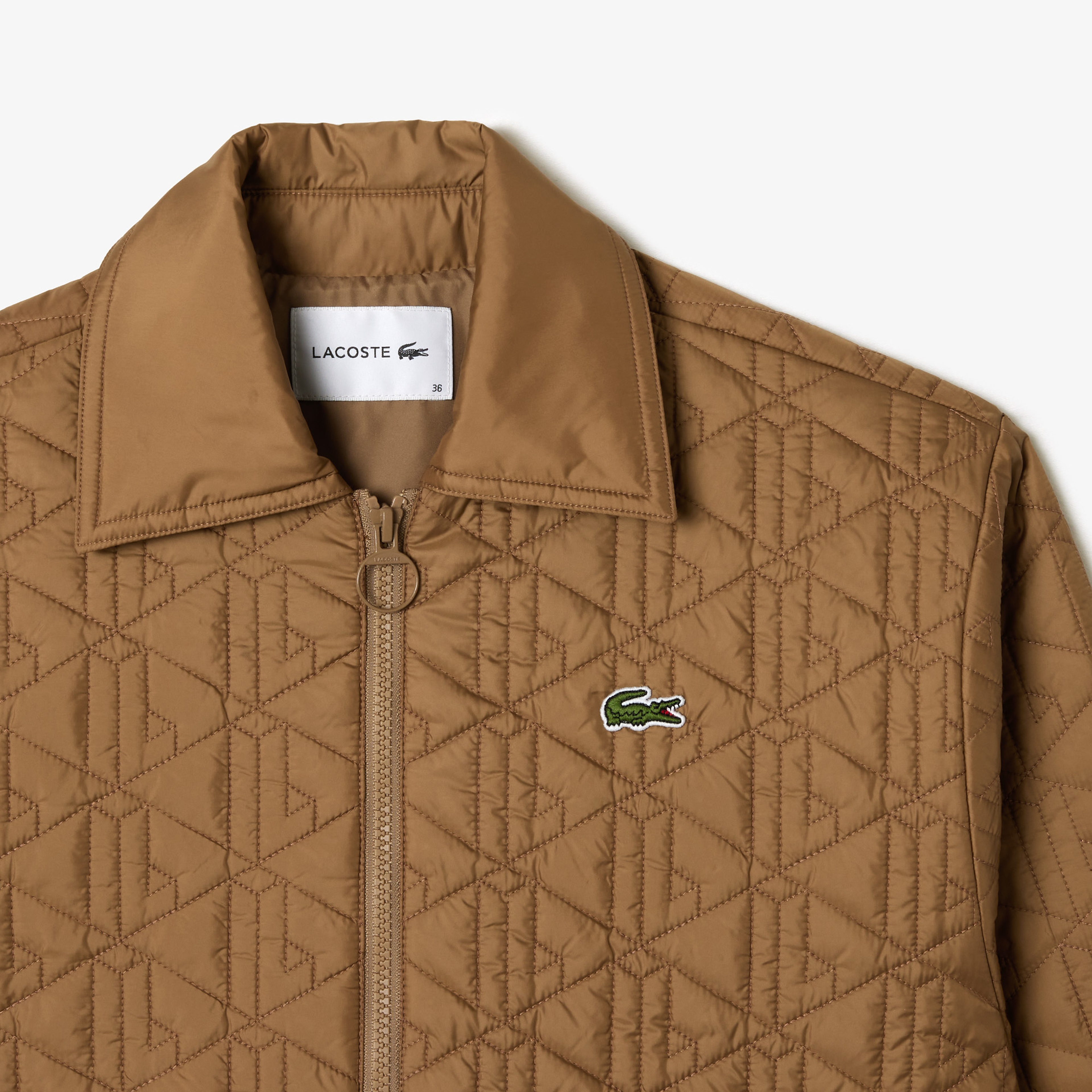 Kadın Monogram Kahverengi Mont