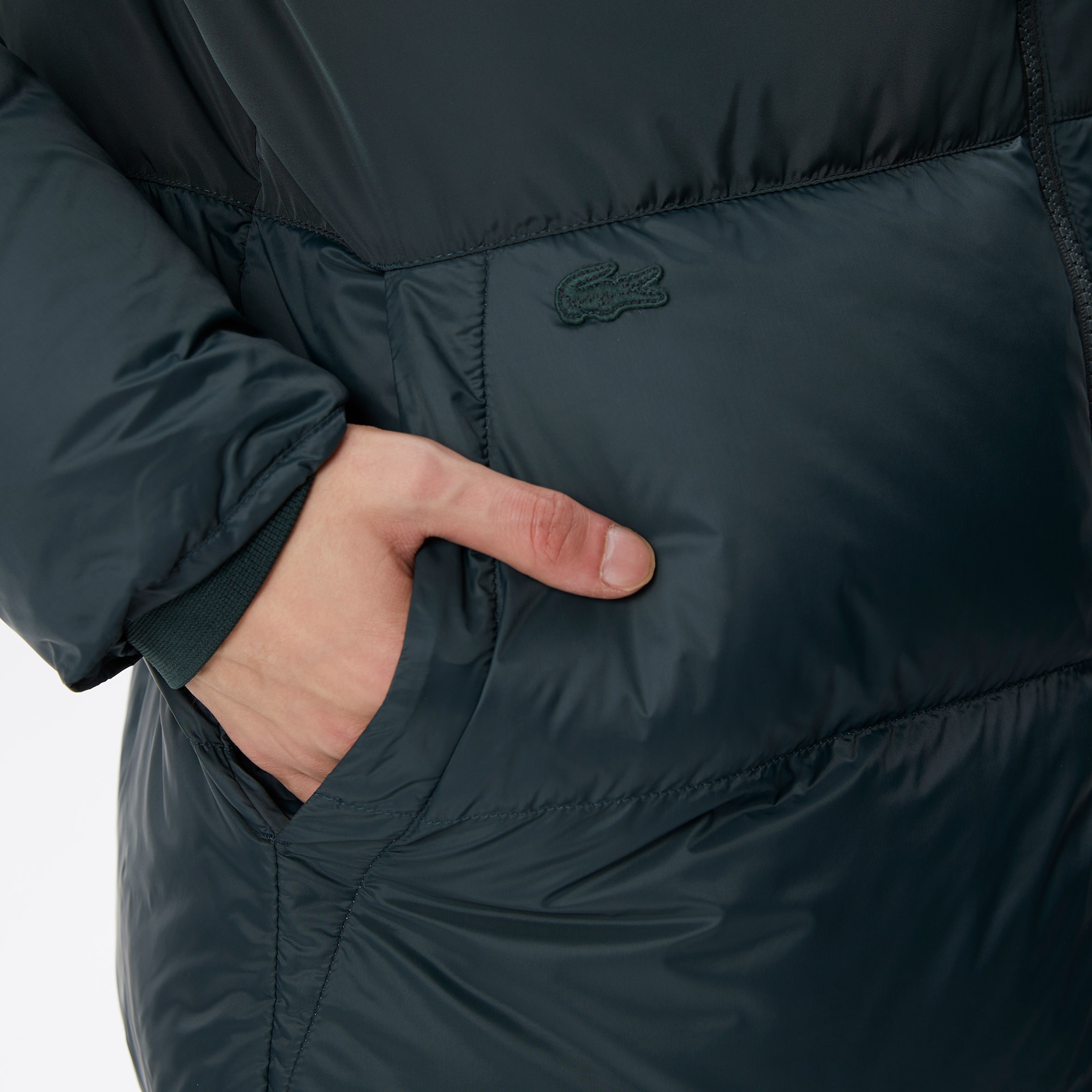 Lacoste Erkek Yeşil Mont