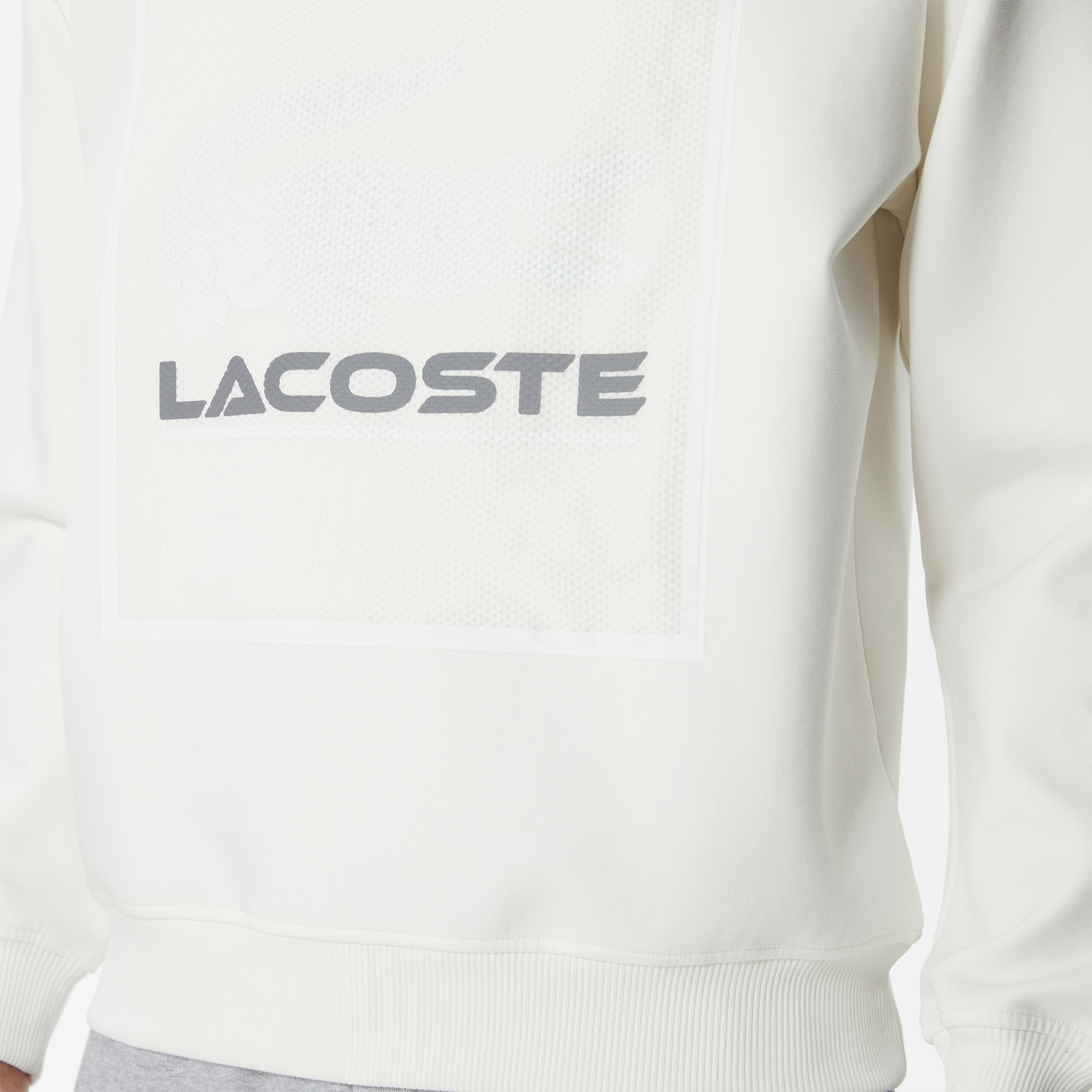 Erkek Relaxed Fit Bisiklet Yaka Baskılı Ekru Sweatshirt