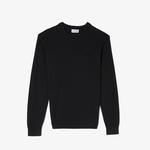 Erkek Regular Fit Bisiklet Yaka Siyah Kazak