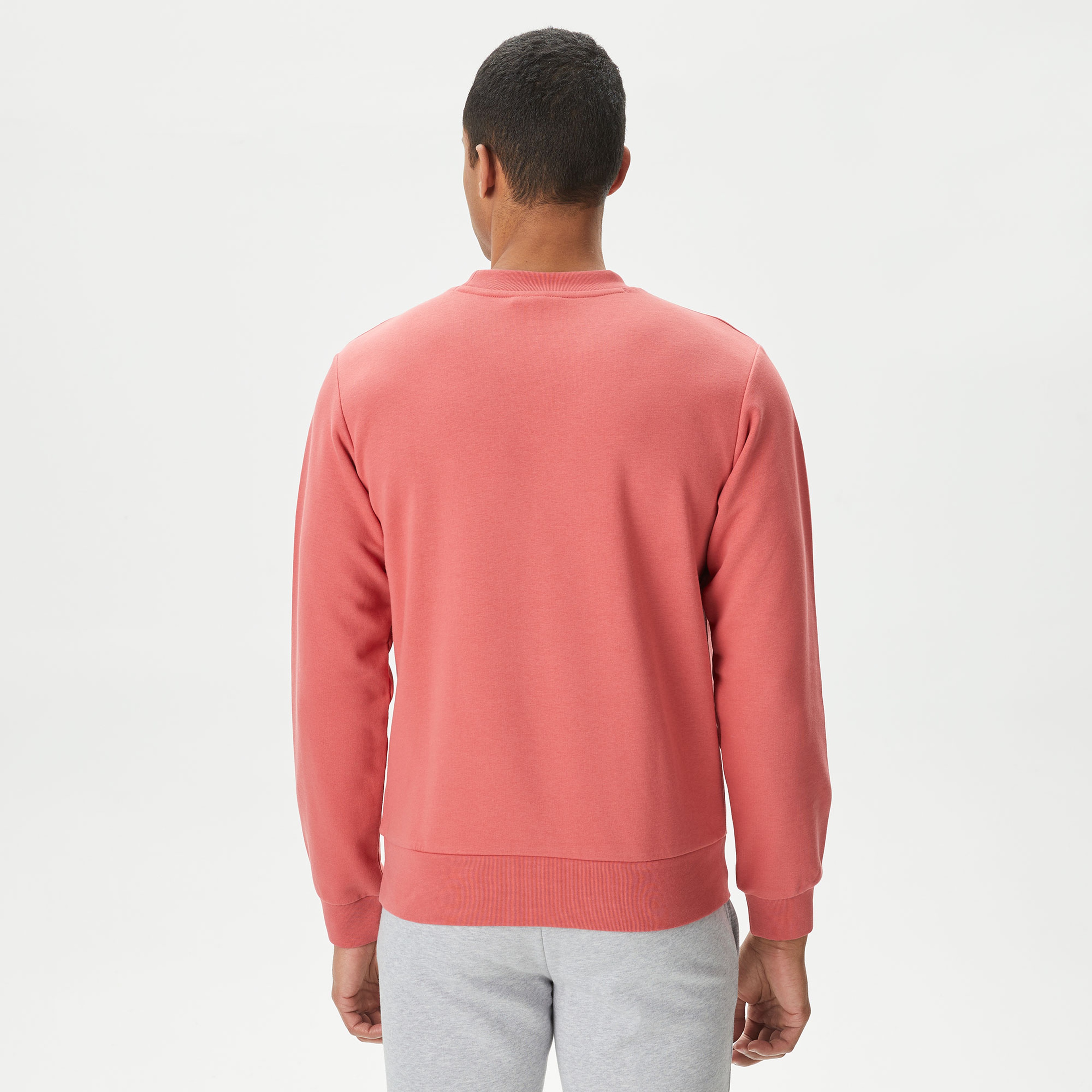 Erkek Classic Fit Bisiklet Yaka Organik Pamuk Pembe Sweatshirt
