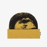 GLD