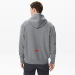 Alpha Industries Nasa Erkek Gri Hoodie