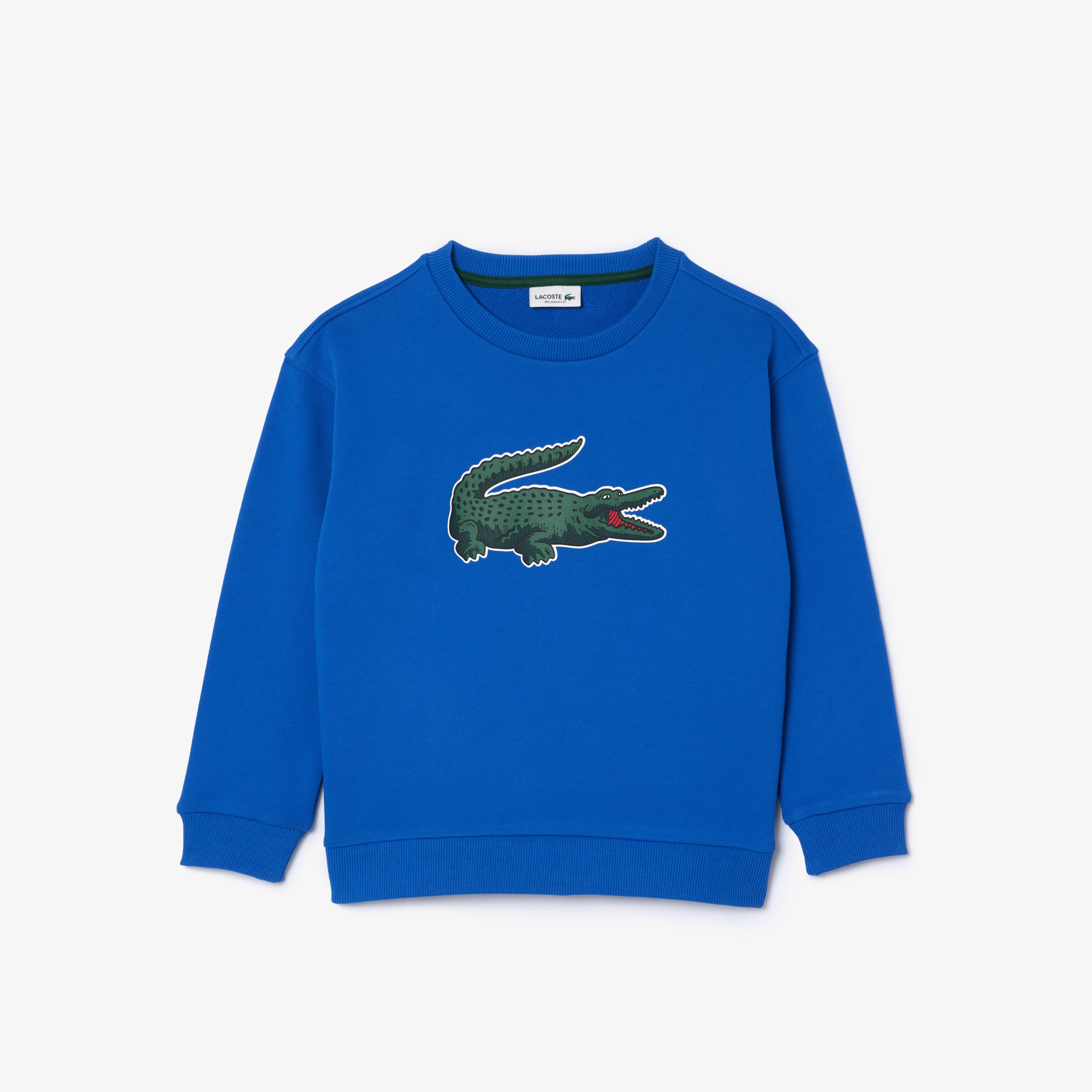 Çocuk Baskılı Mavi Sweatshirt