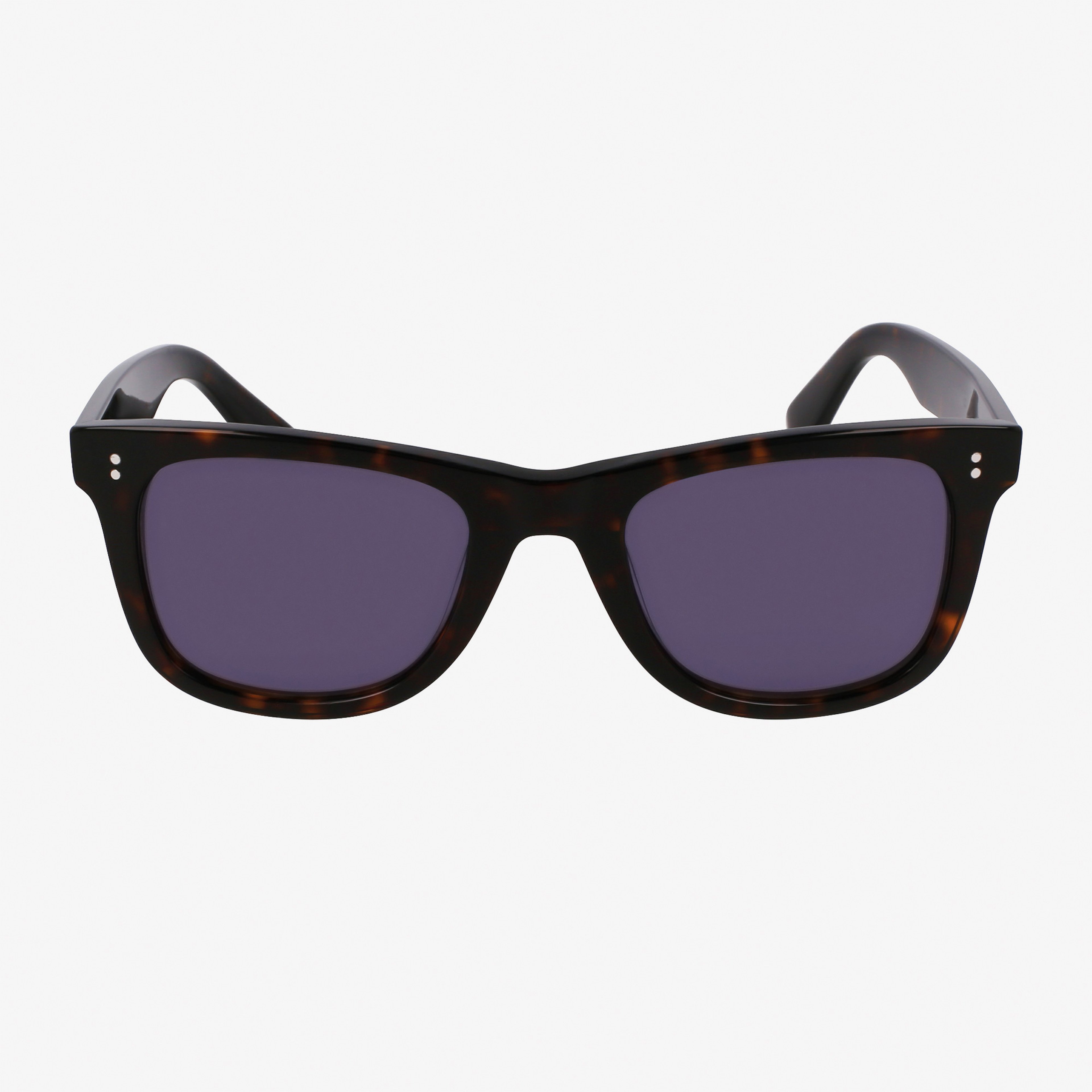 Erkek Kahverengi Güneş Gözlüğü