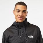 The North Face Seasonal Mountain Siyah Erkek Ceket