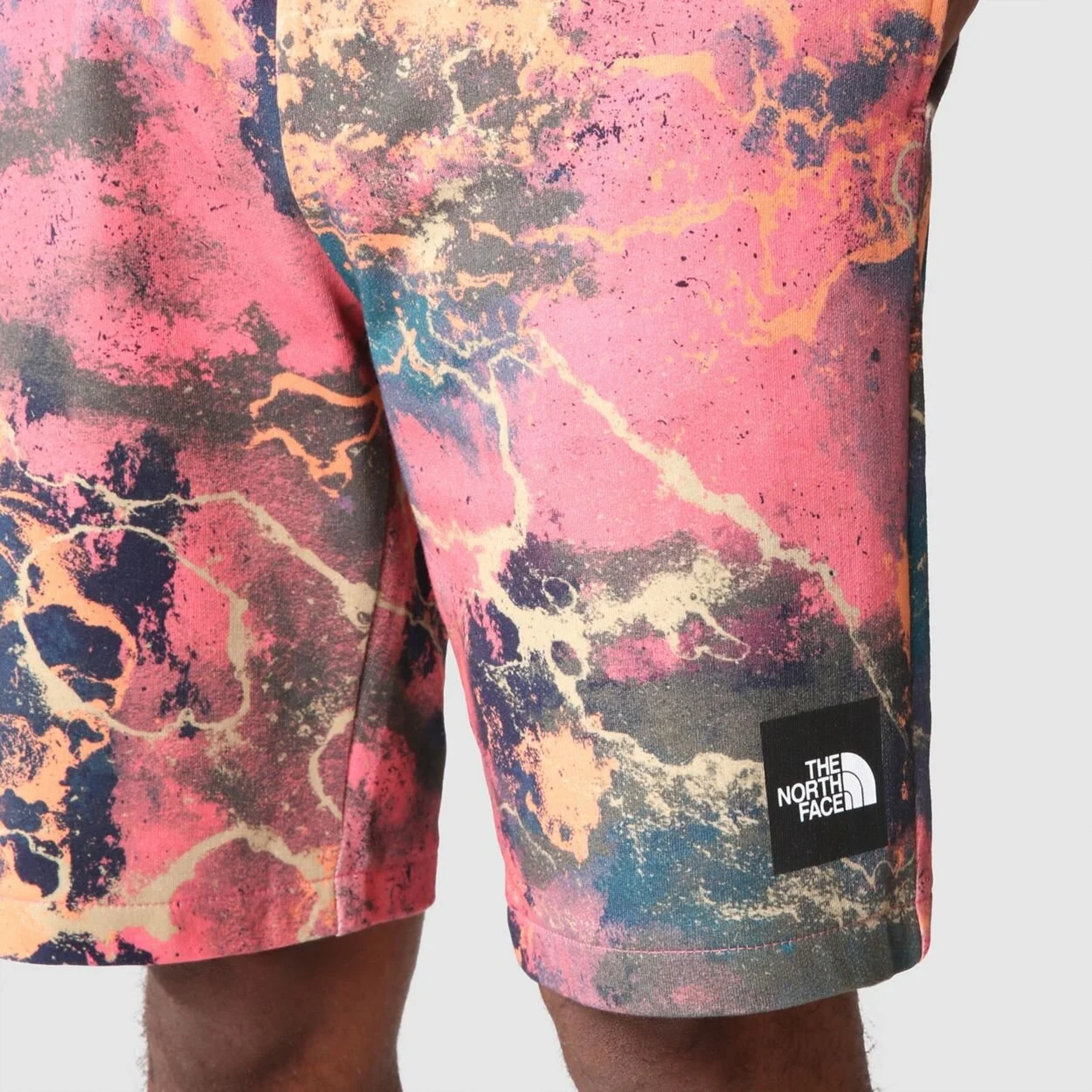 The North Face Summer Logo Erkek Pembe Şort