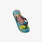 Havaianas Marvel Çocuk Yeşil Terlik