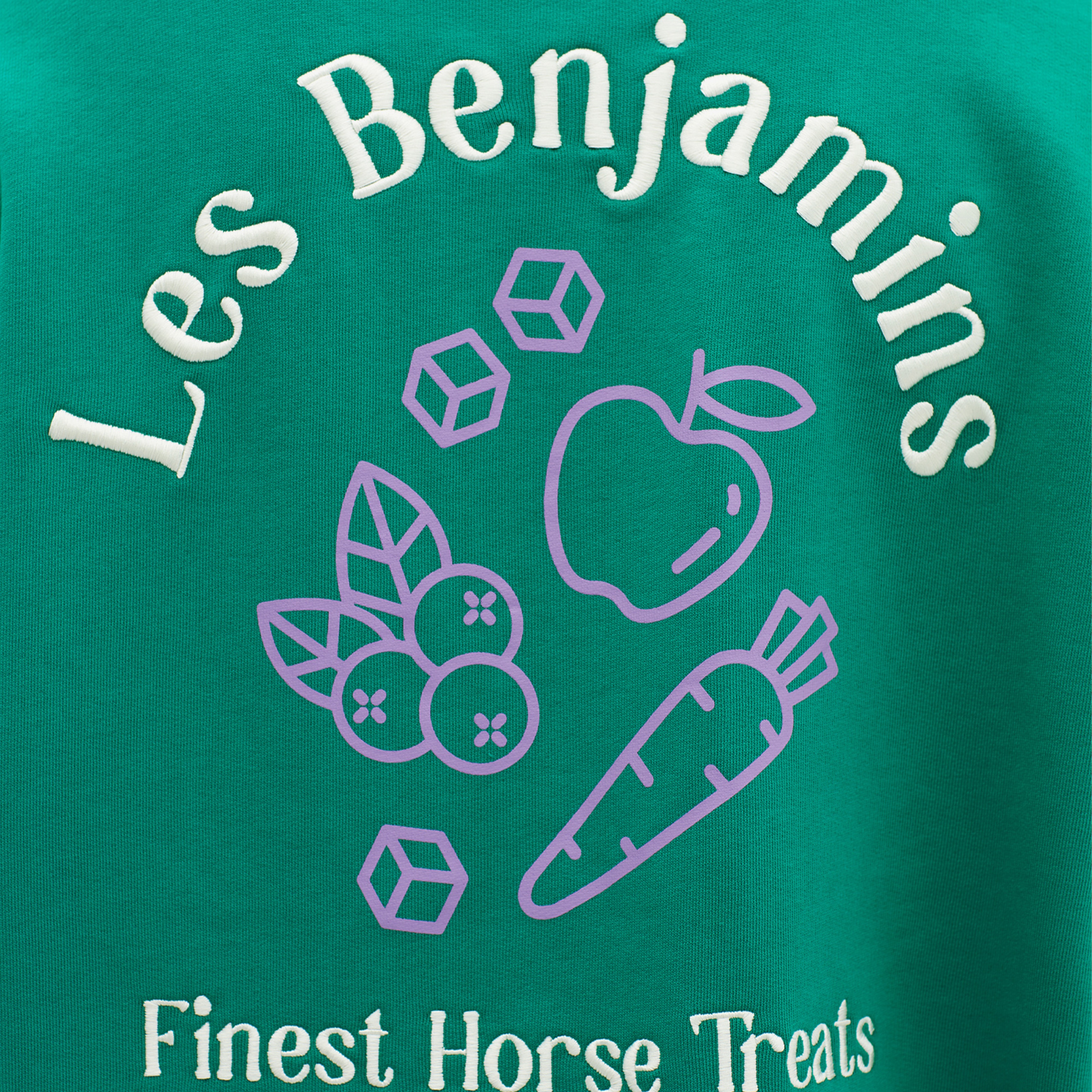 Les Benjamins Wholesale Exclusives Erkek Yeşil Sweatshirt