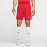 Nike Türkiye A Milli Takım Erkek Kırmızı Futbol Şortu