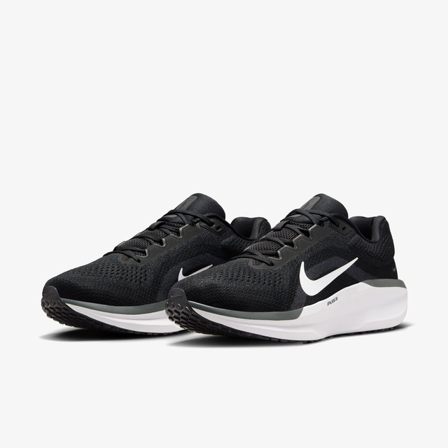 Nike Siyah Nike Air Winflo 11