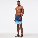 Quiksilver Surfsilk New Wave Erkek Mavi Mayo