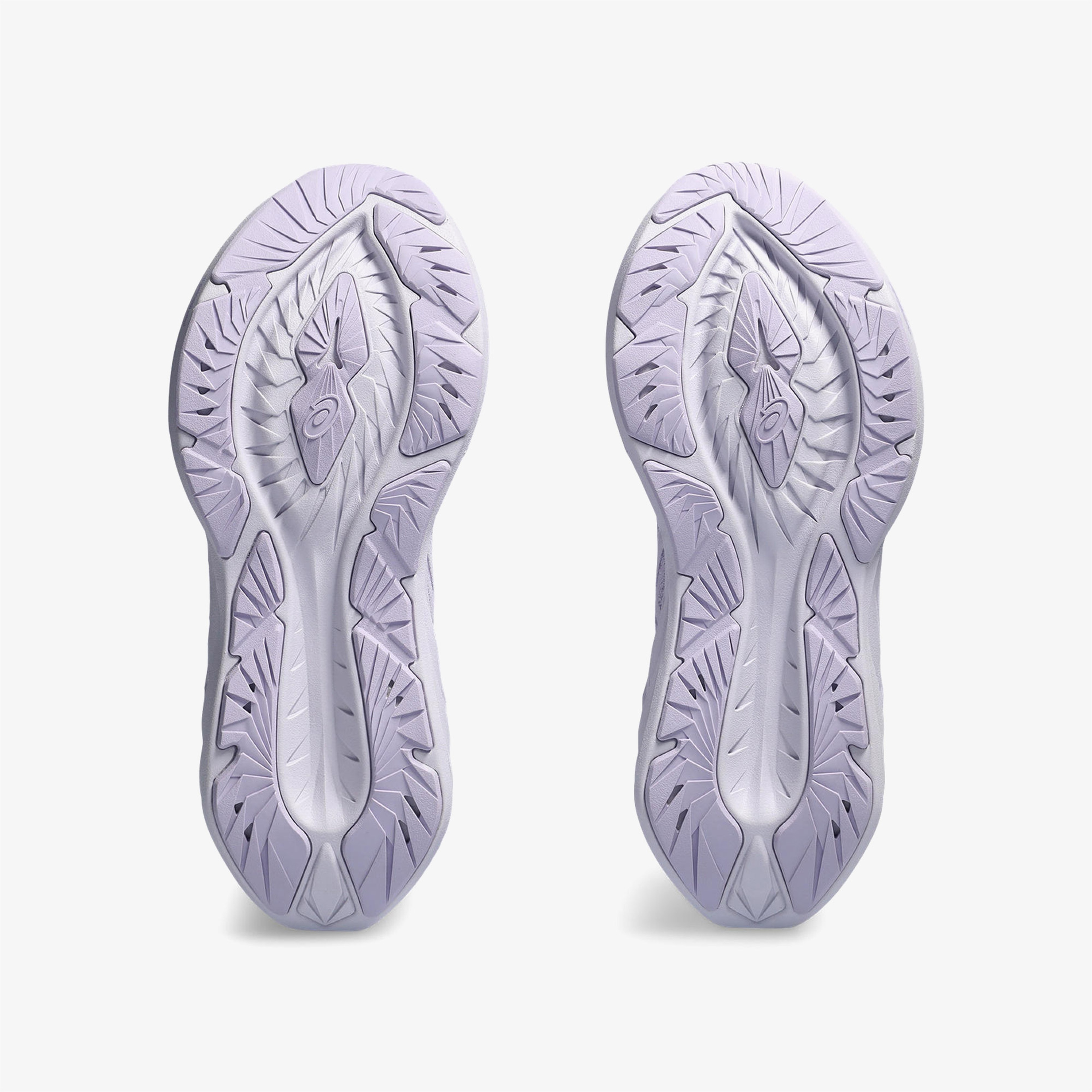 Asics Novablast 4 Kadın Gri Koşu Ayakkabısı