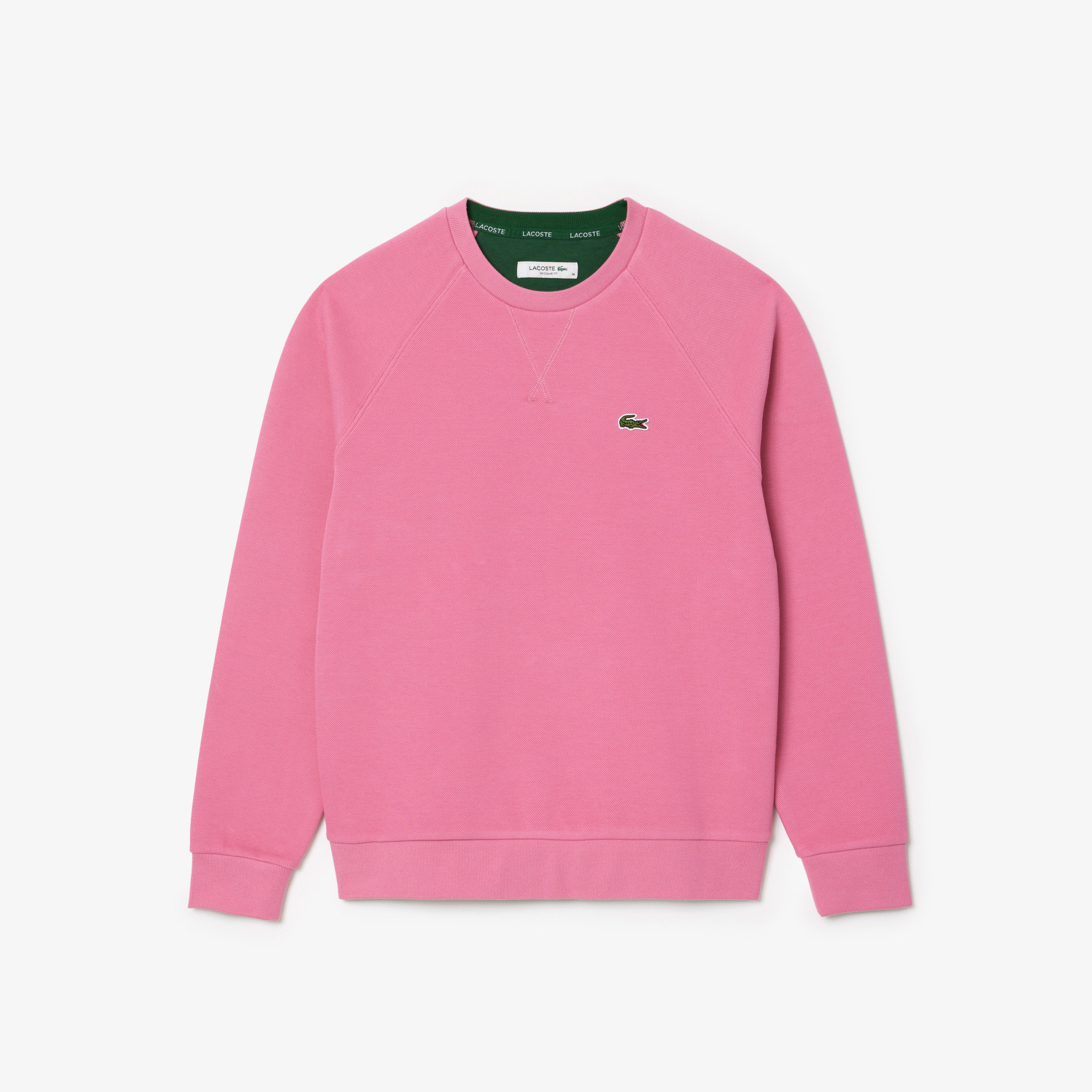 Kadın Regular Fit Bisiklet Yaka Pembe Sweatshirt