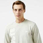 Erkek Relaxed Fit Bisiklet Yaka Baskılı Gri Sweatshirt