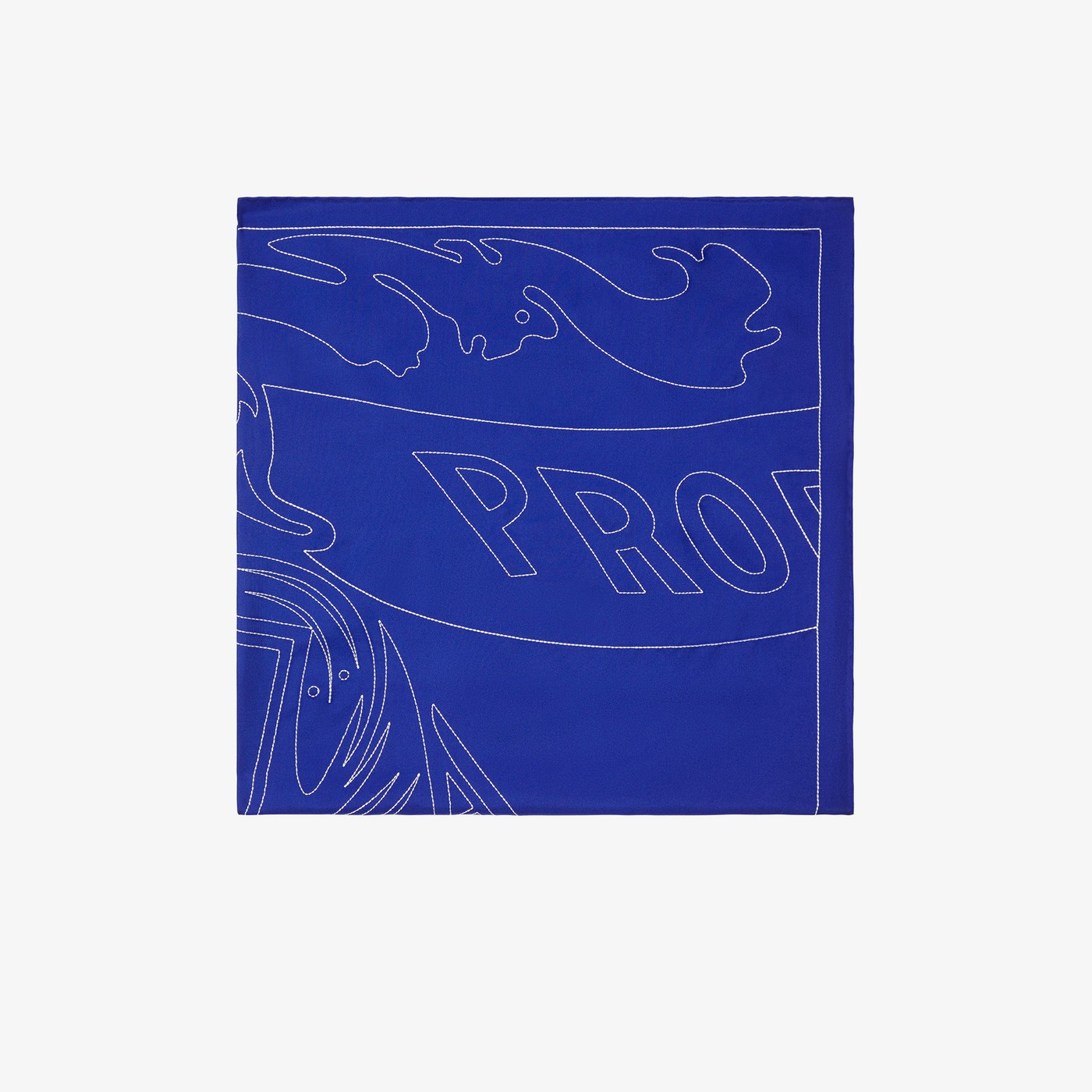 product_detail_image