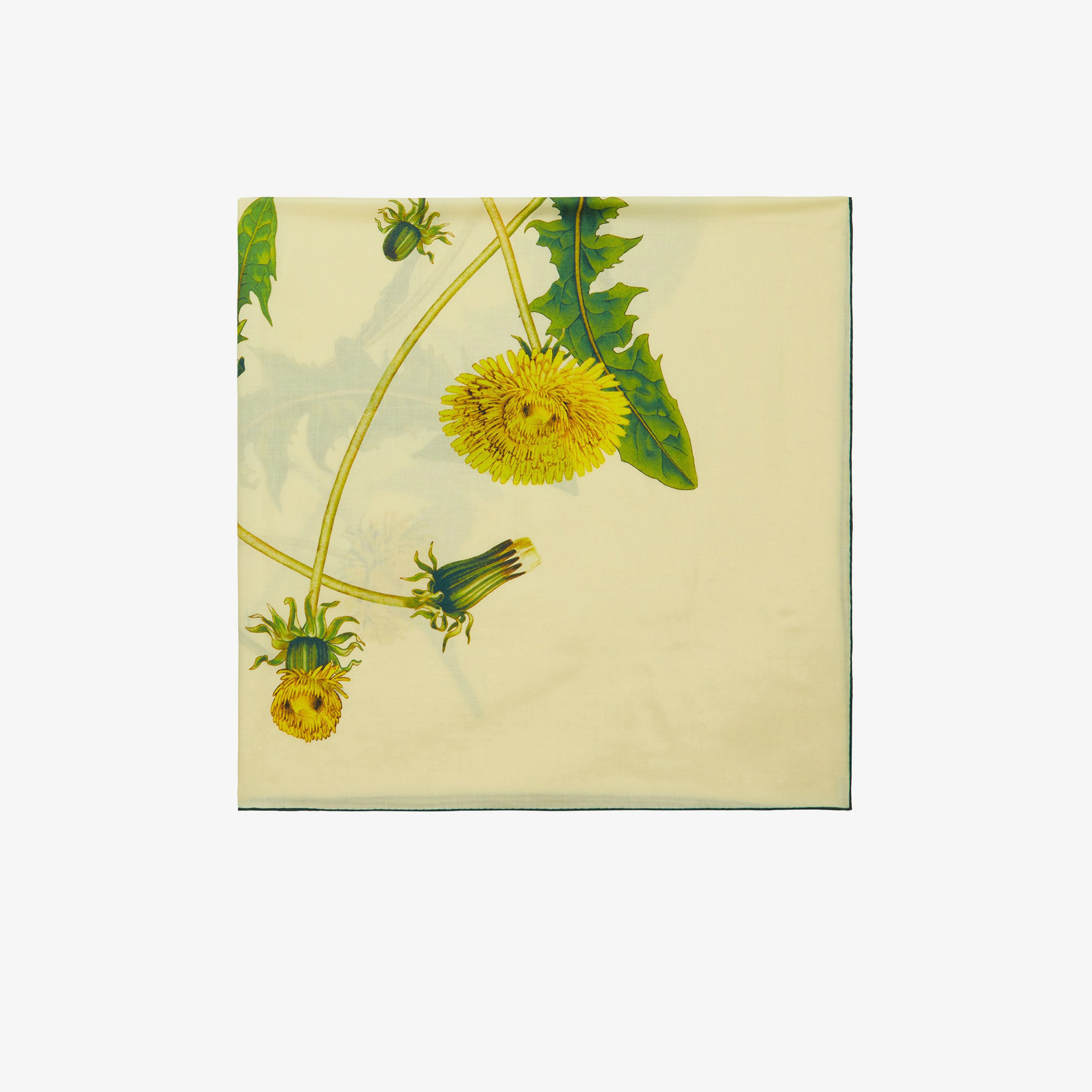 Burberry Unisex Bej Atkı