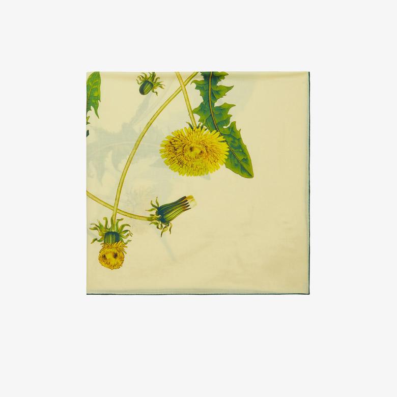 Burberry Unisex Bej Atkı