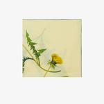 Burberry Unisex Bej Atkı