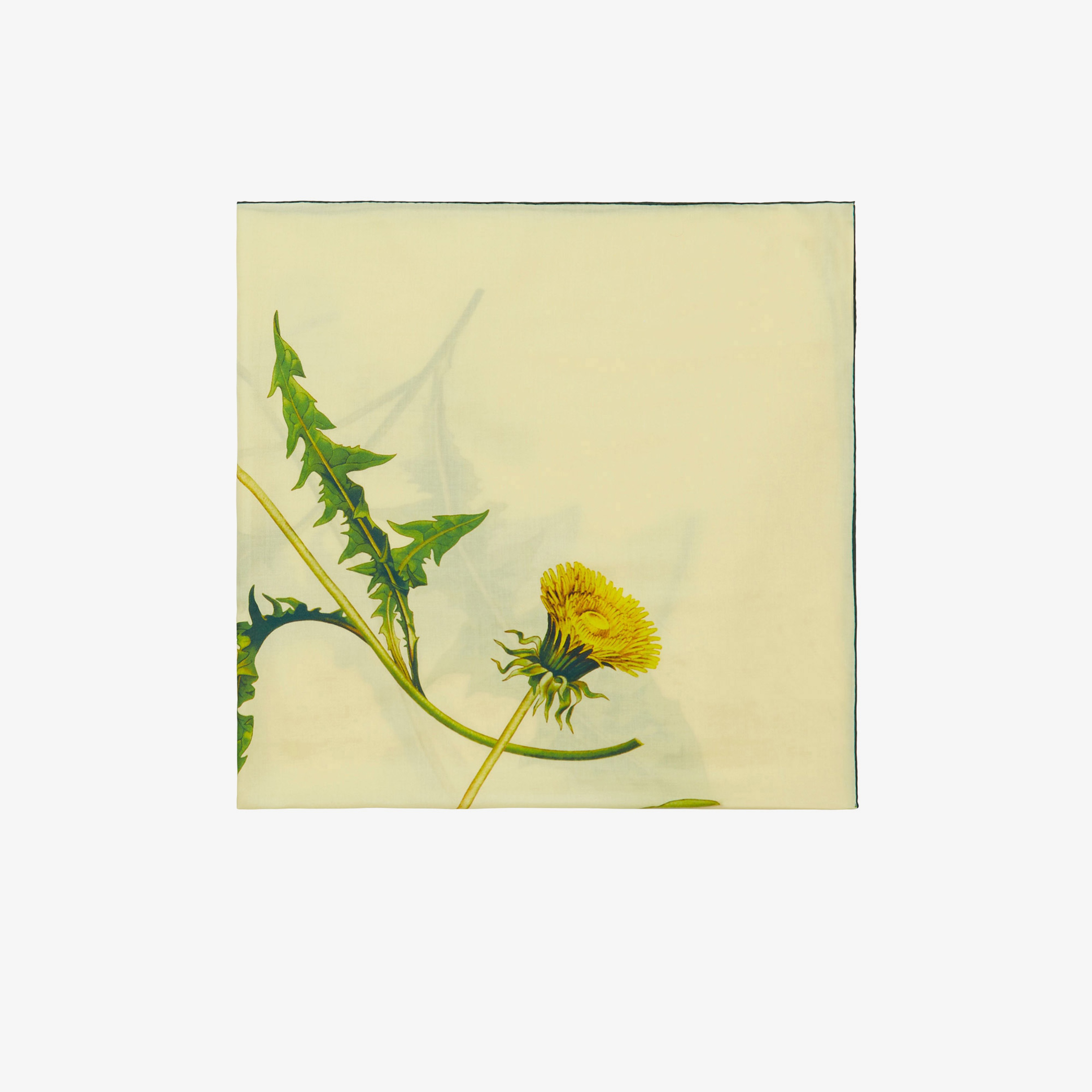 Burberry Unisex Bej Atkı