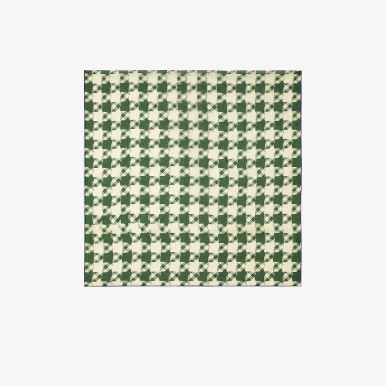 Burberry Unisex Yeşil Eşarp