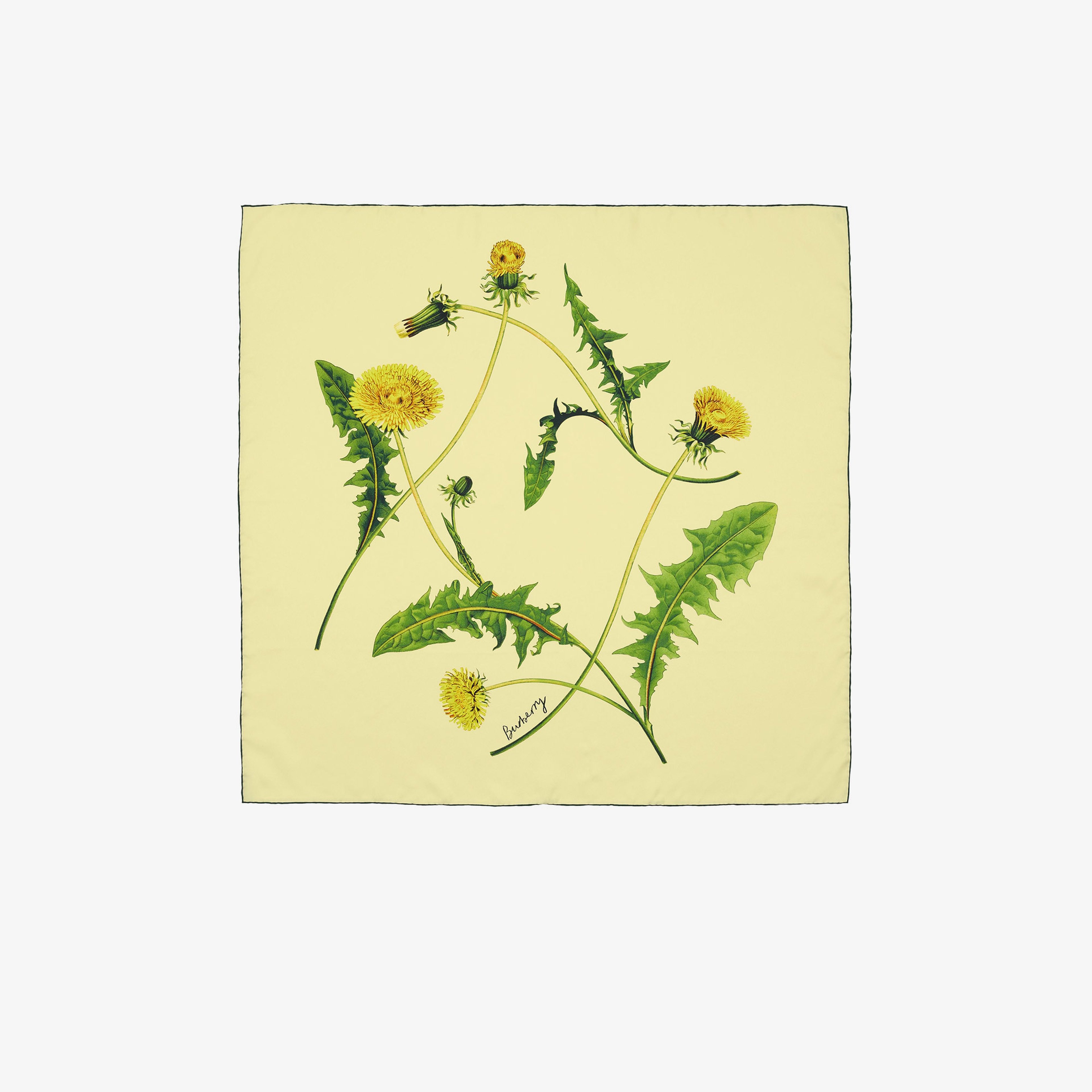 Burberry Unisex Bej Eşarp