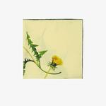 Burberry Unisex Bej Eşarp