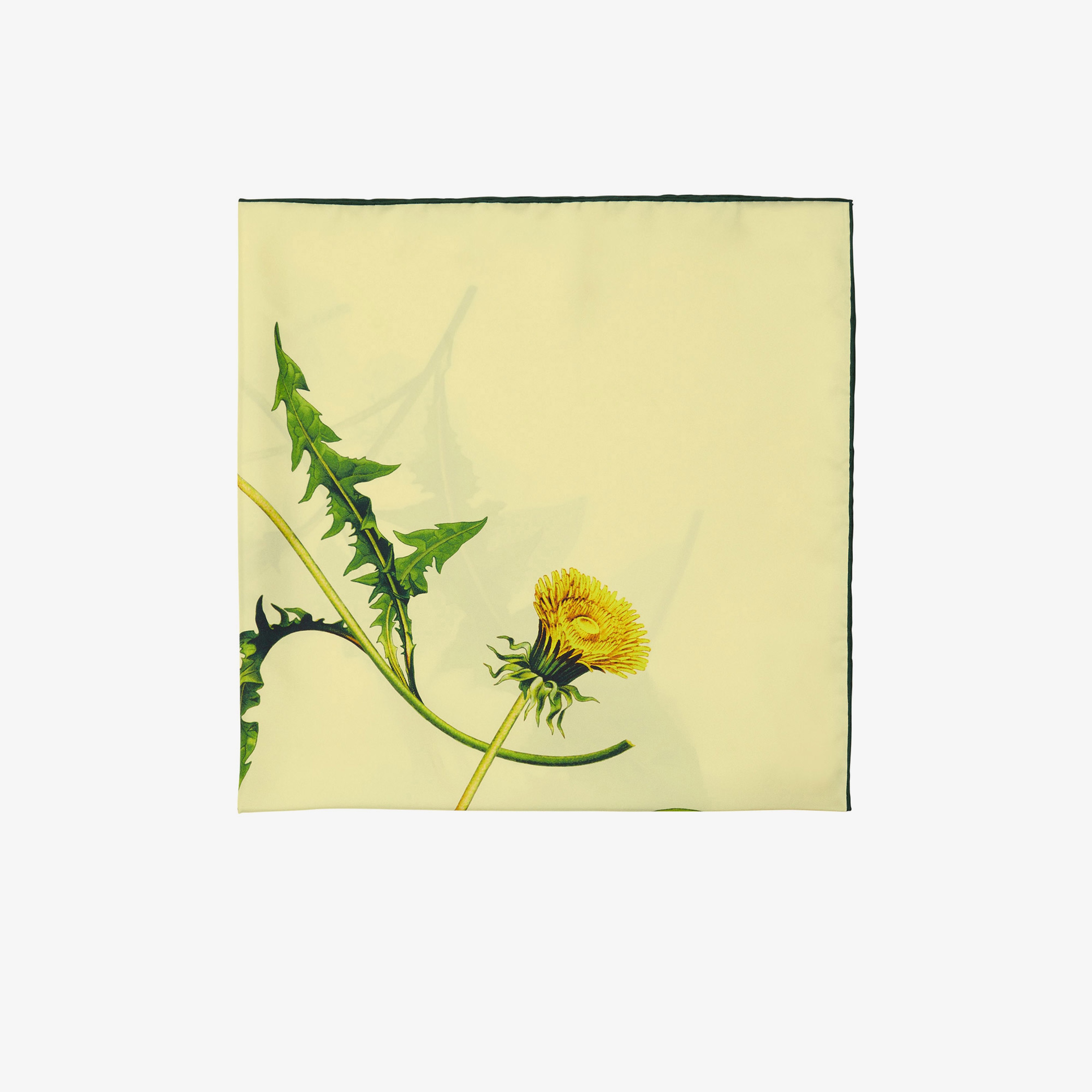 Burberry Unisex Bej Eşarp