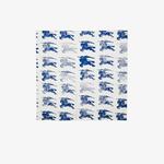 Burberry Unisex Mavi Eşarp