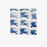 Burberry Unisex Mavi Eşarp