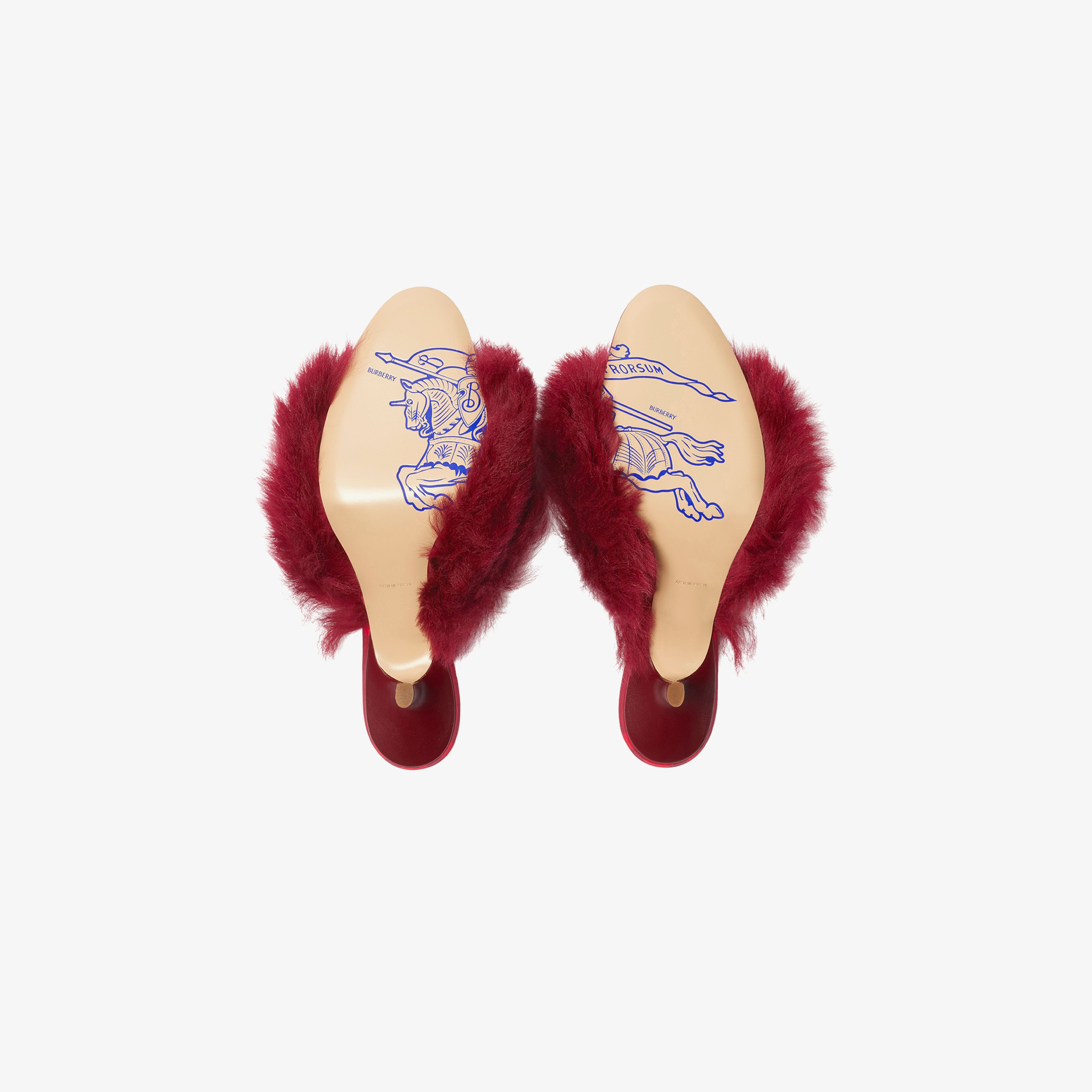 Burberry Kadın Mor Ayakkabı