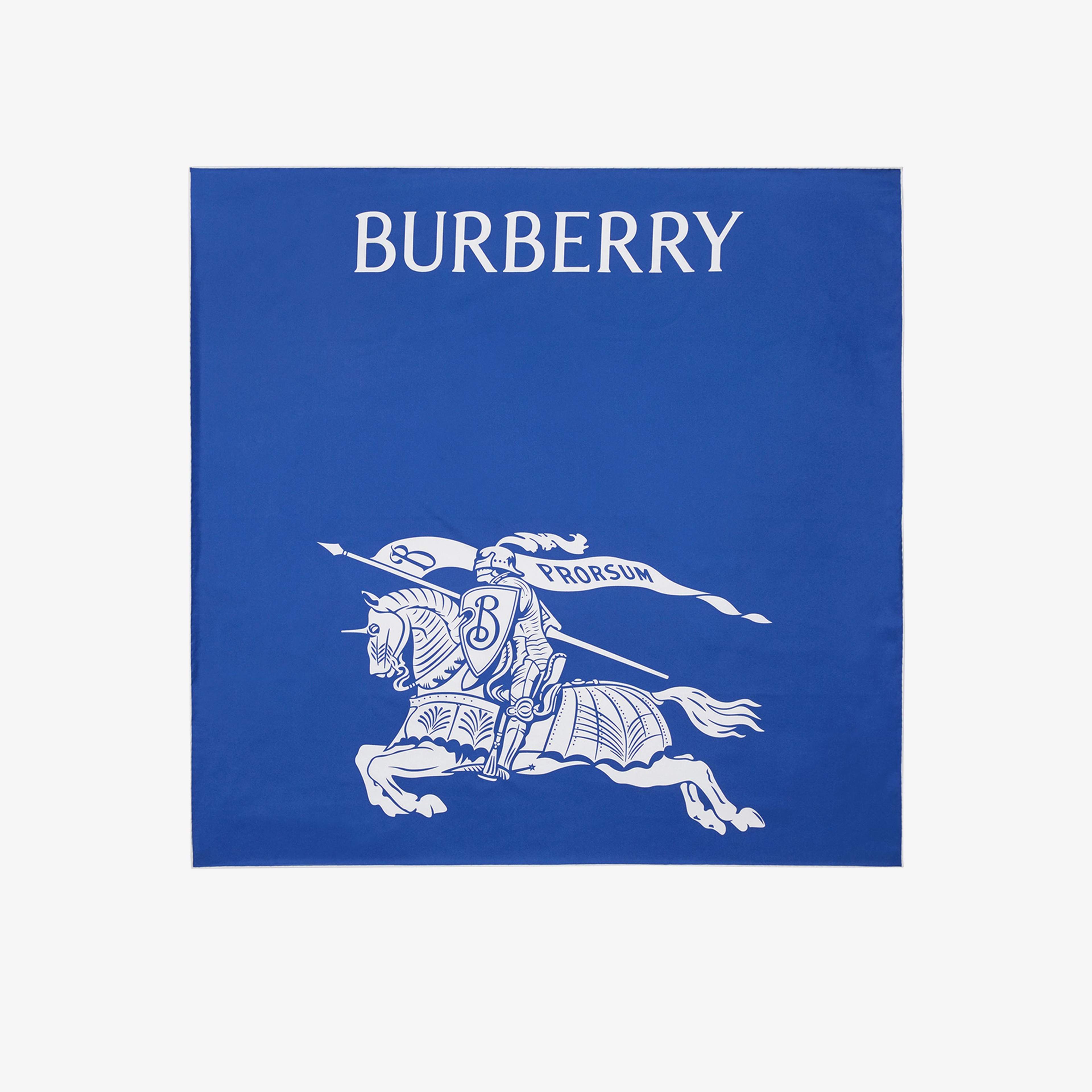 Burberry Unisex Mavi Eşarp