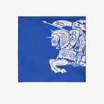 Burberry Unisex Mavi Eşarp