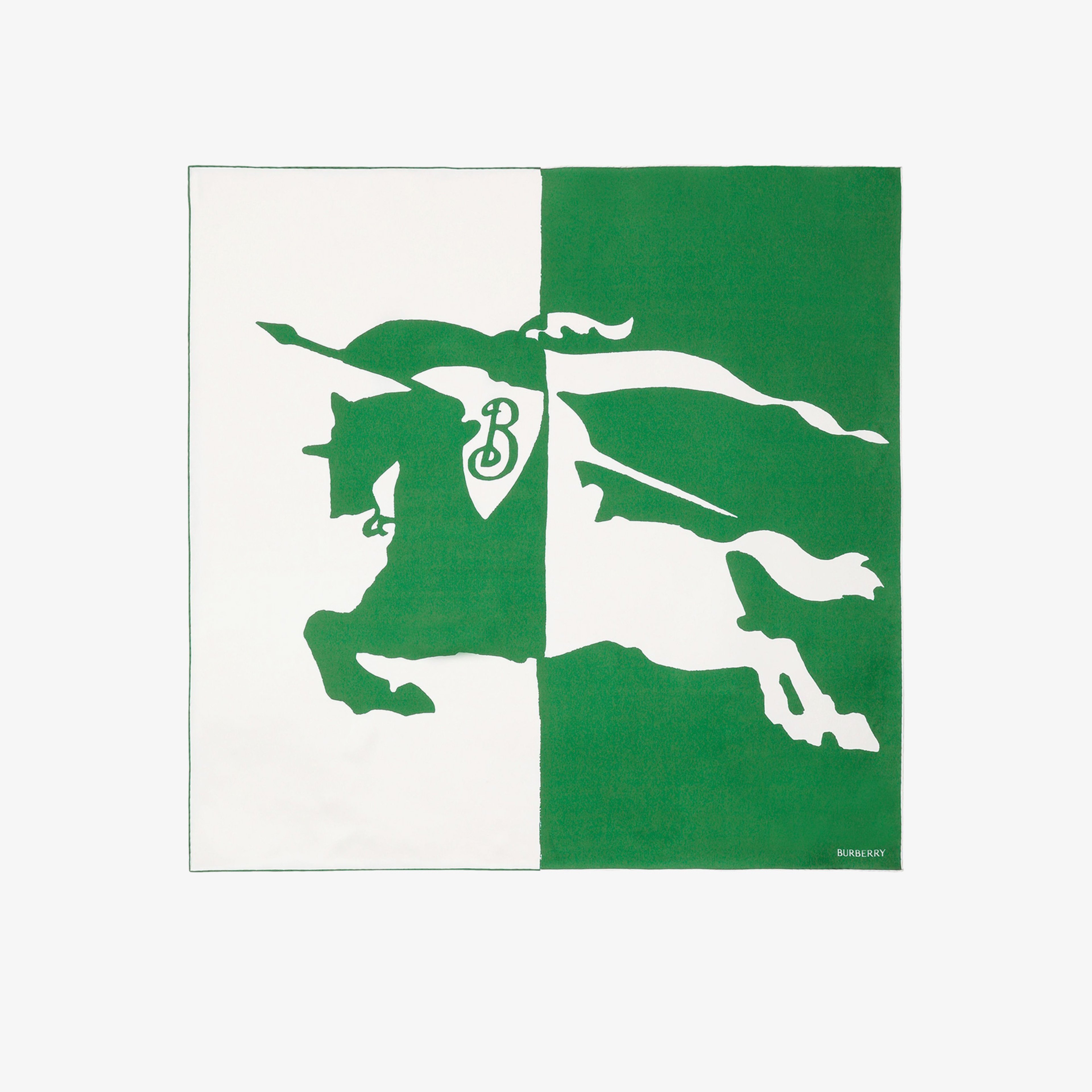 Burberry Unisex Yeşil Eşarp