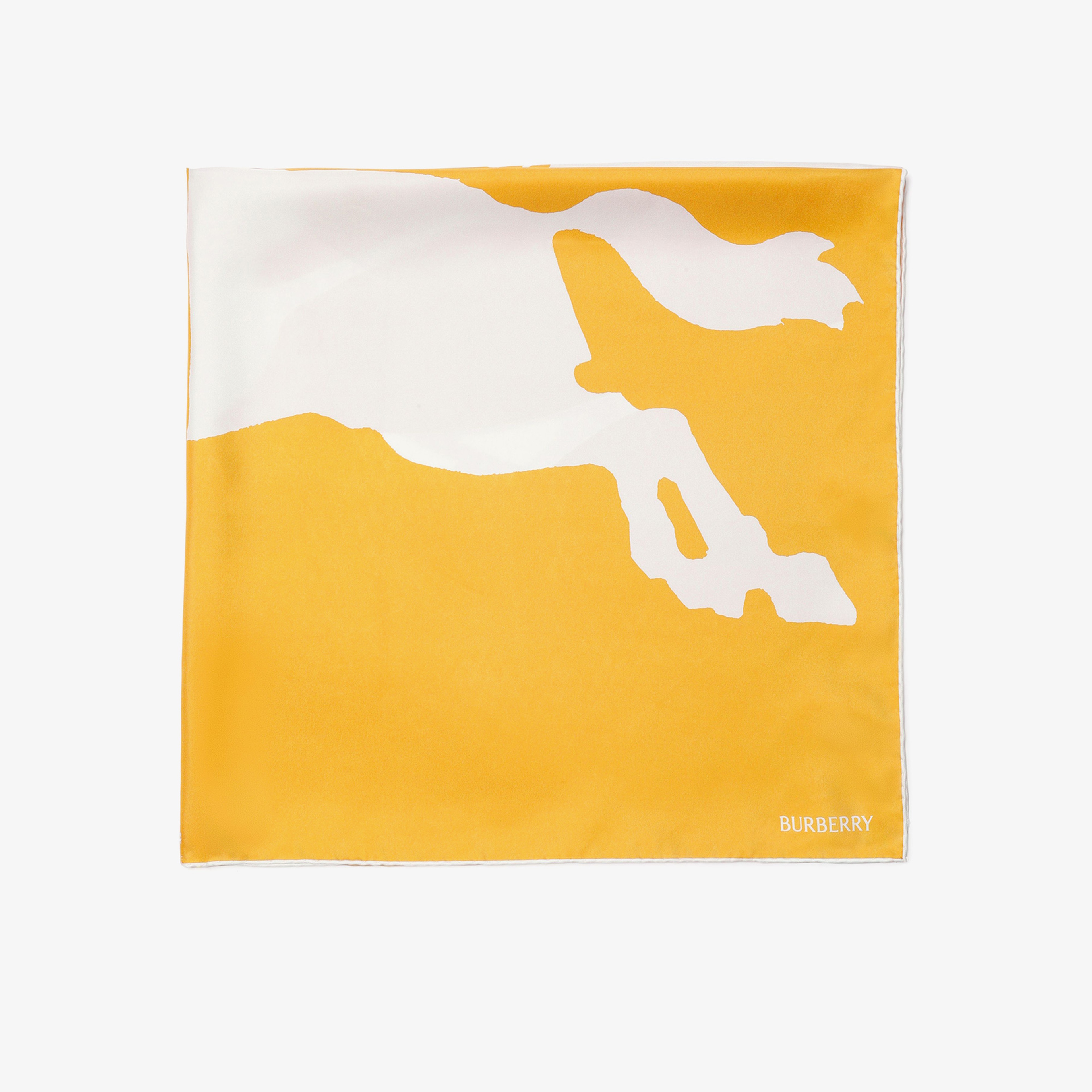 Burberry Unisex Sarı Eşarp