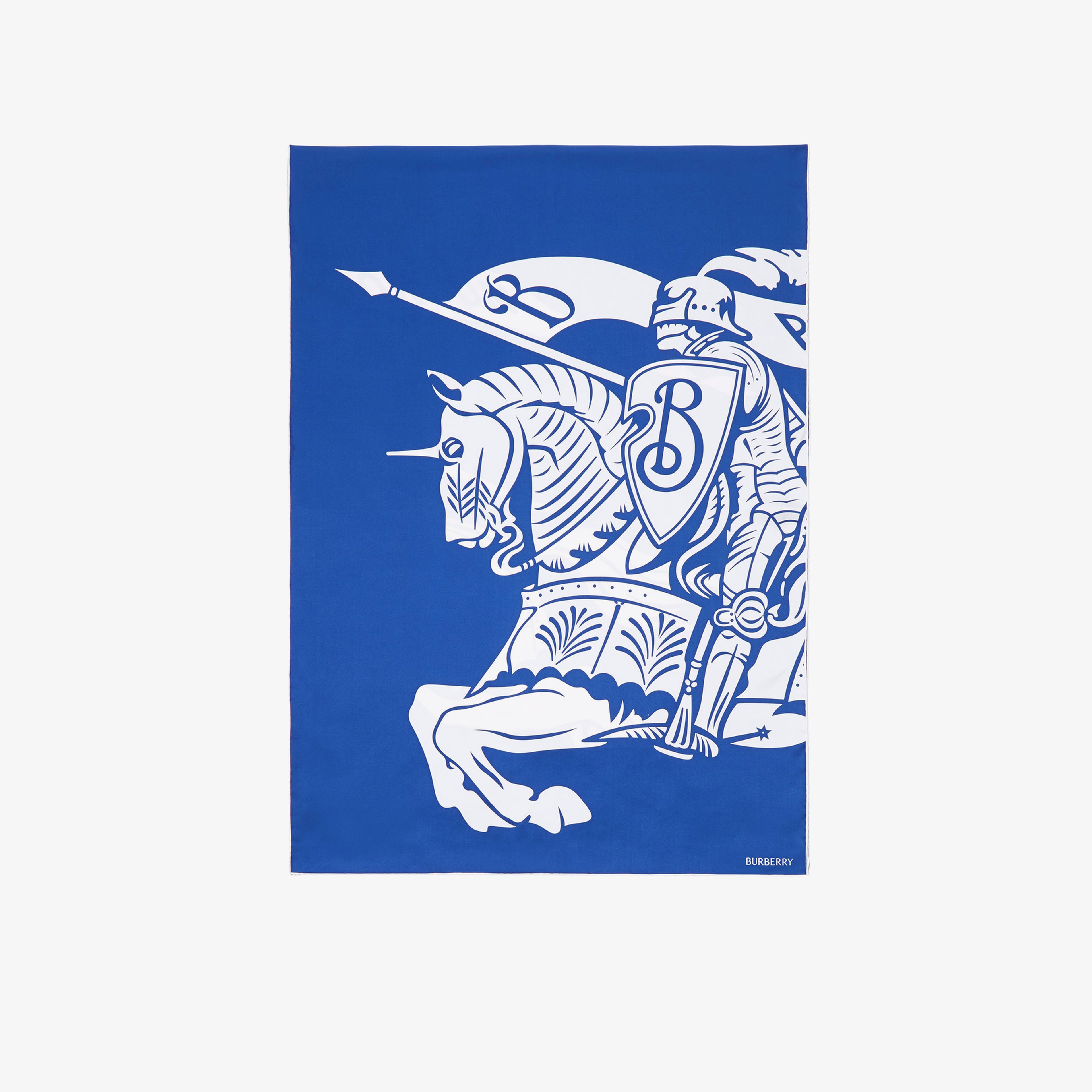 Burberry Unisex Lacivert Eşarp