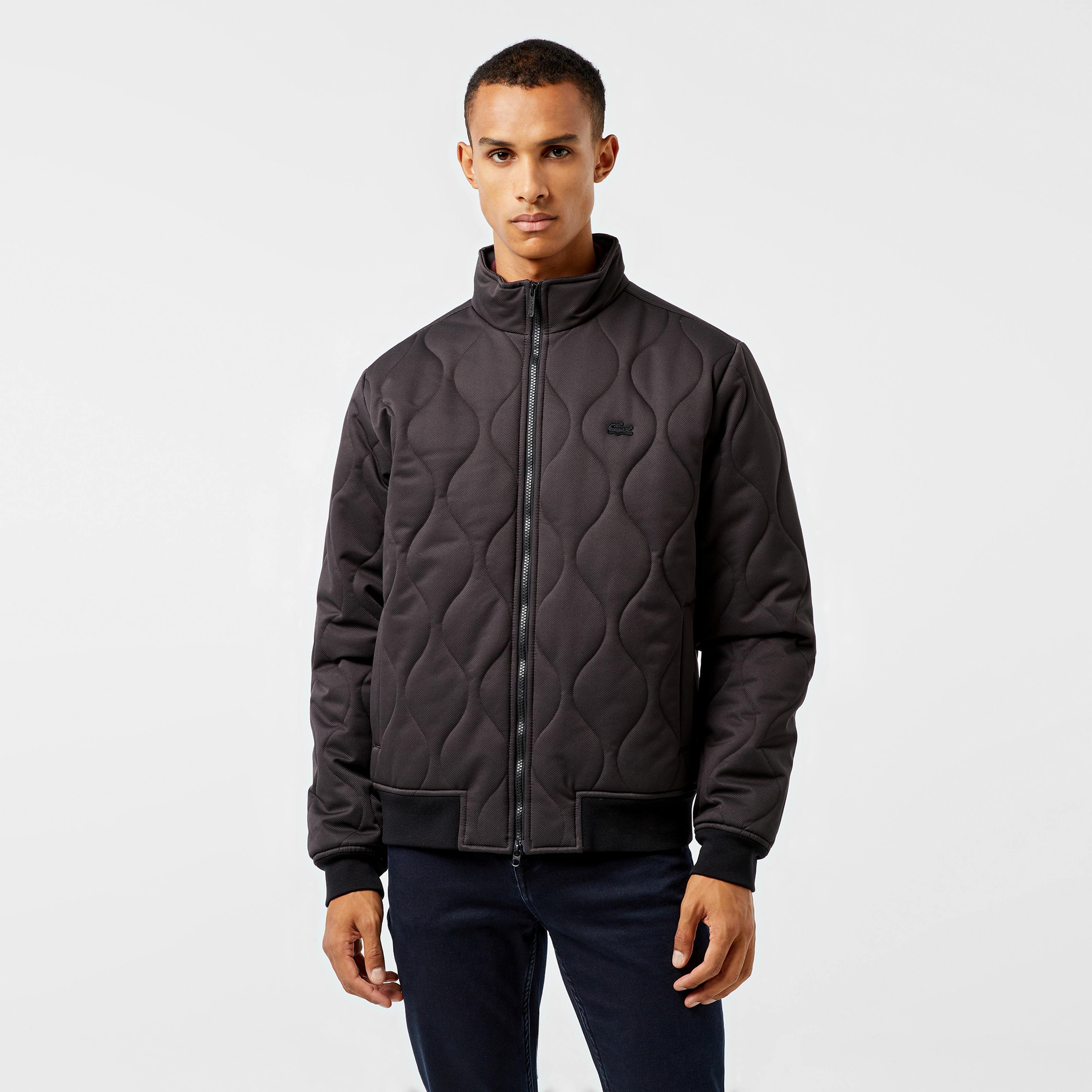 Erkek Relaxed Fit Dik Yaka Kapitone Siyah Mont