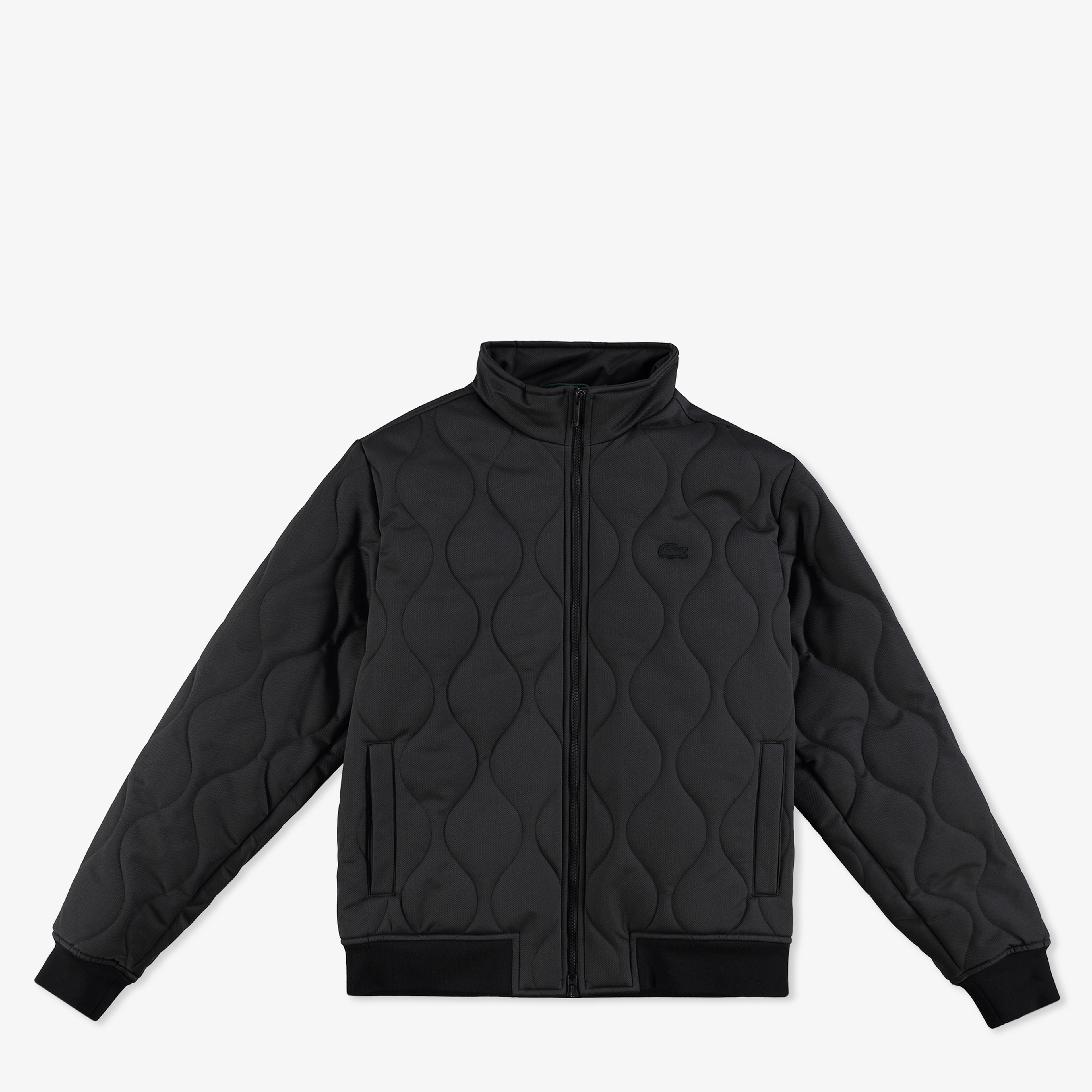 Erkek Relaxed Fit Dik Yaka Kapitone Siyah Mont