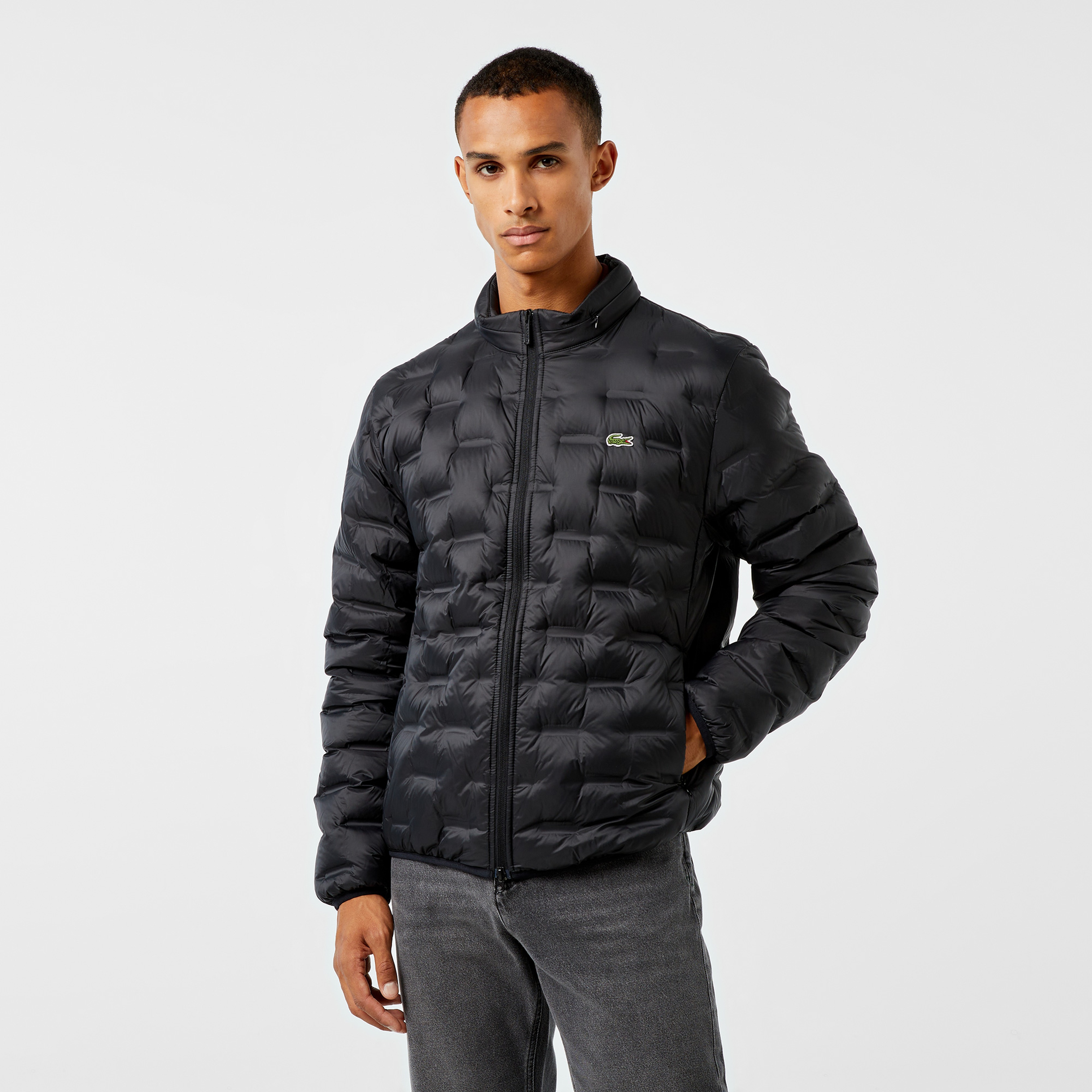 Erkek Regular Fit Kapüşonlu Kapitone Siyah Mont