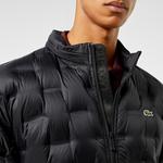 Erkek Regular Fit Kapüşonlu Kapitone Siyah Mont