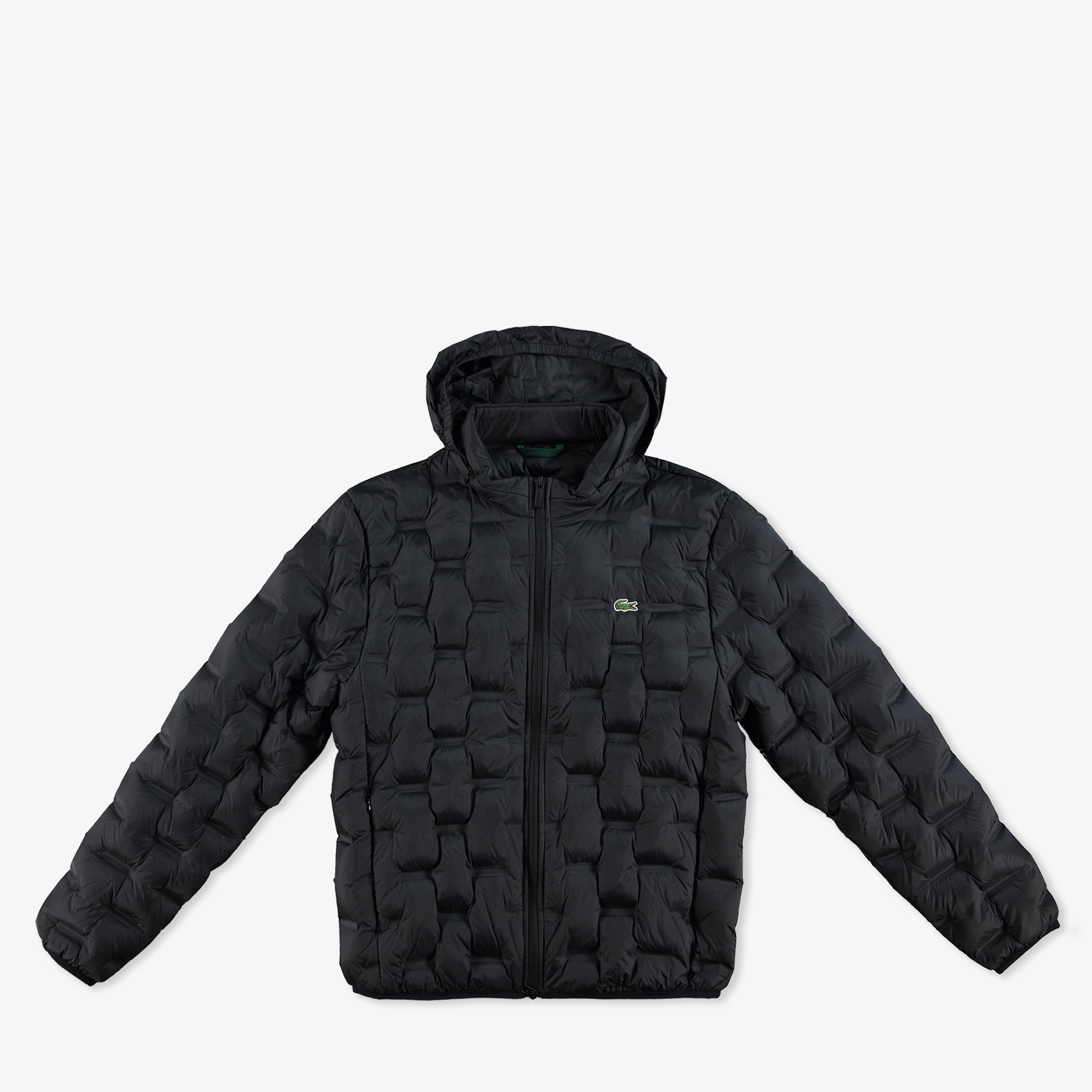 Erkek Regular Fit Kapüşonlu Kapitone Siyah Mont