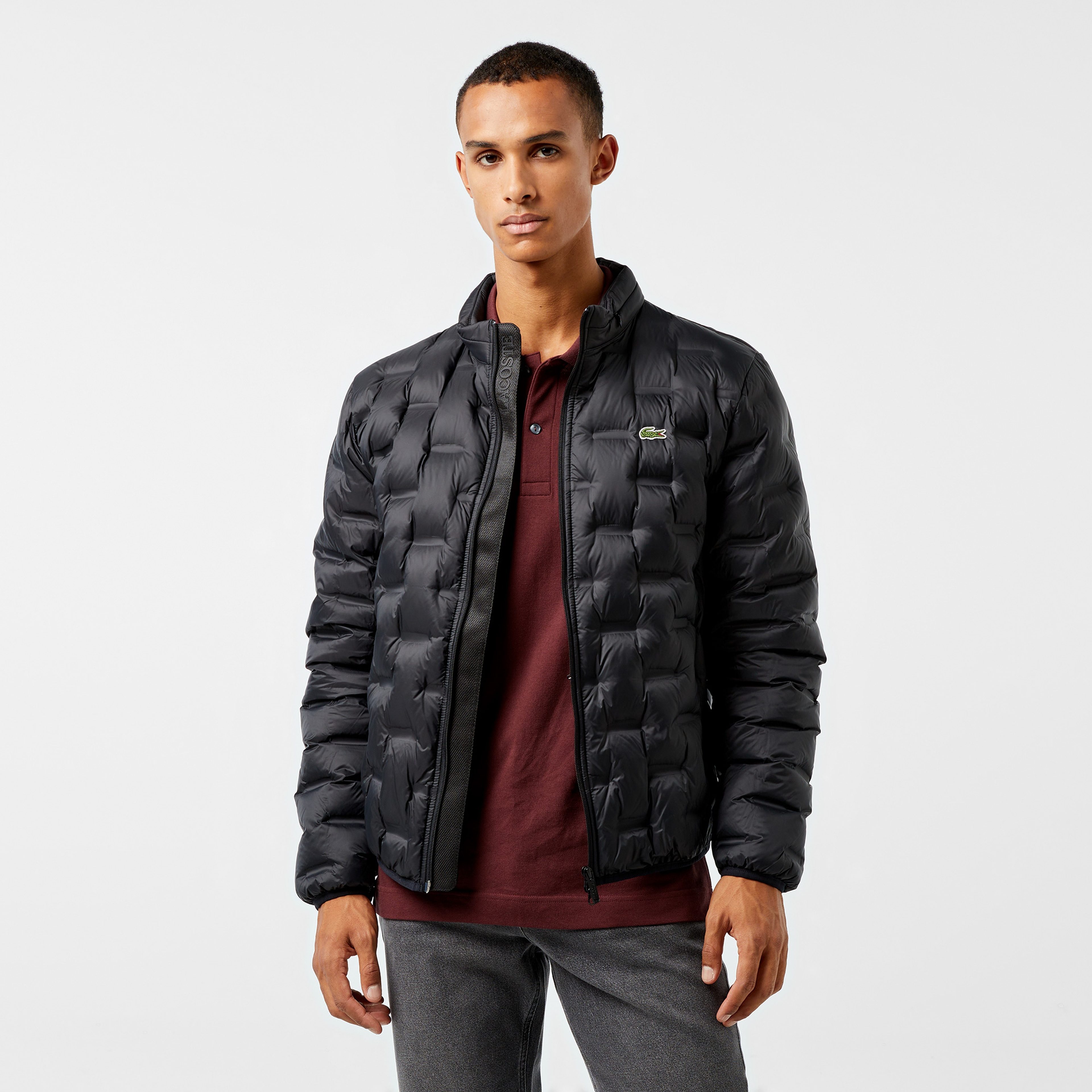 Erkek Regular Fit Kapüşonlu Kapitone Siyah Mont