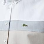 Erkek Regular Fit Düğmeli Yaka Çizgili Beyaz Gömlek