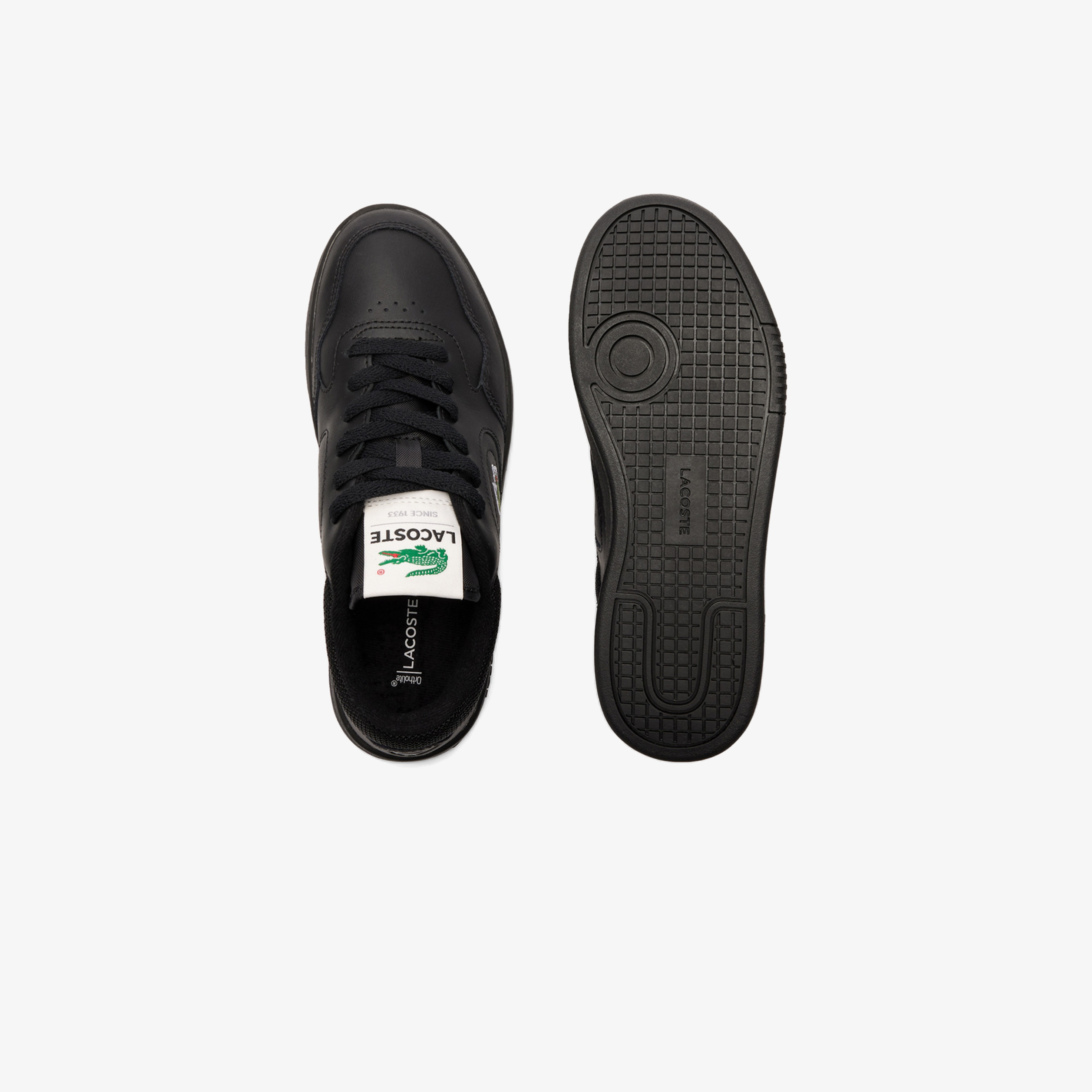 Lineset Kadın Siyah Sneaker