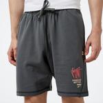 Puma Re:Collection Erkek Gri Şort