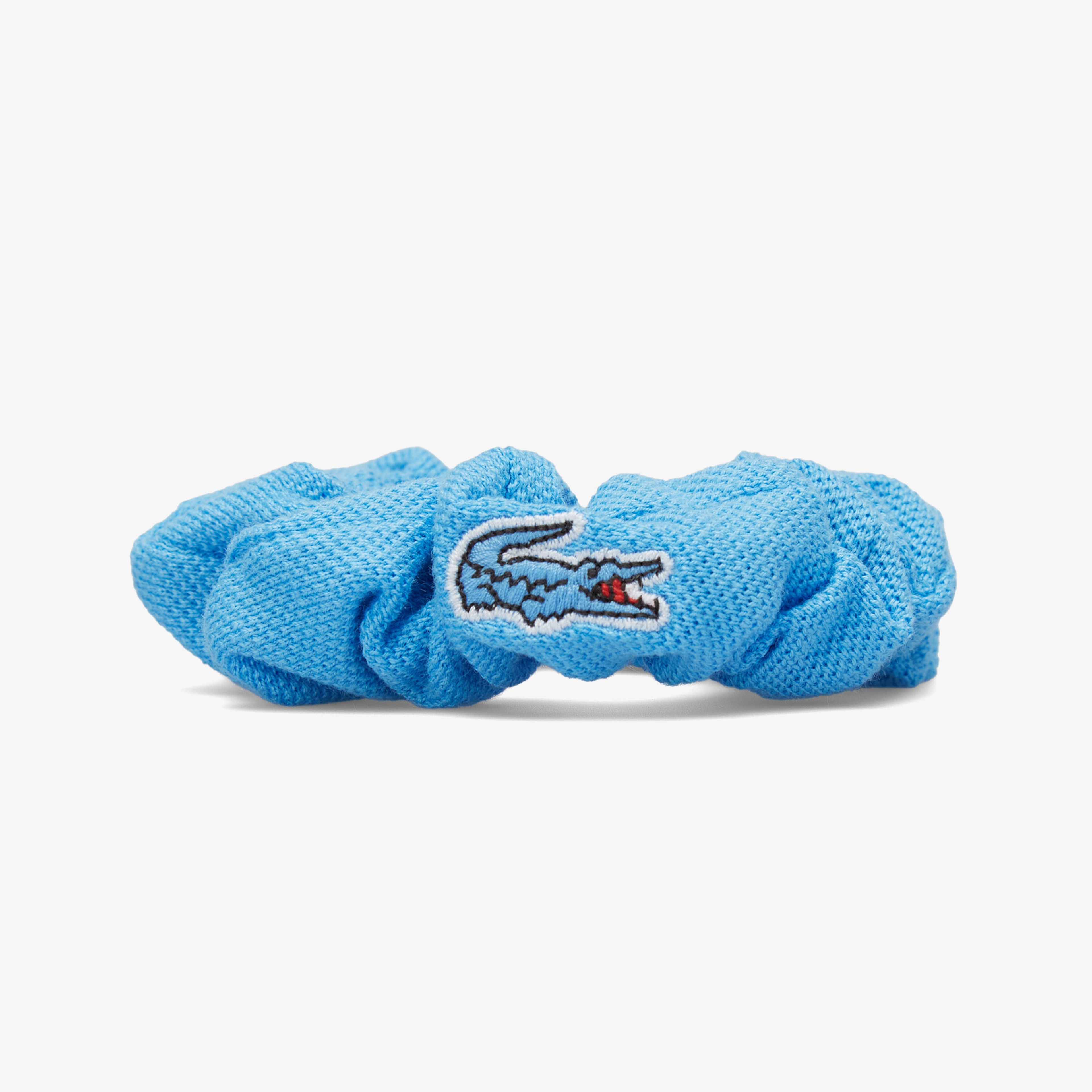 Kadın Mavi Saç Tokası